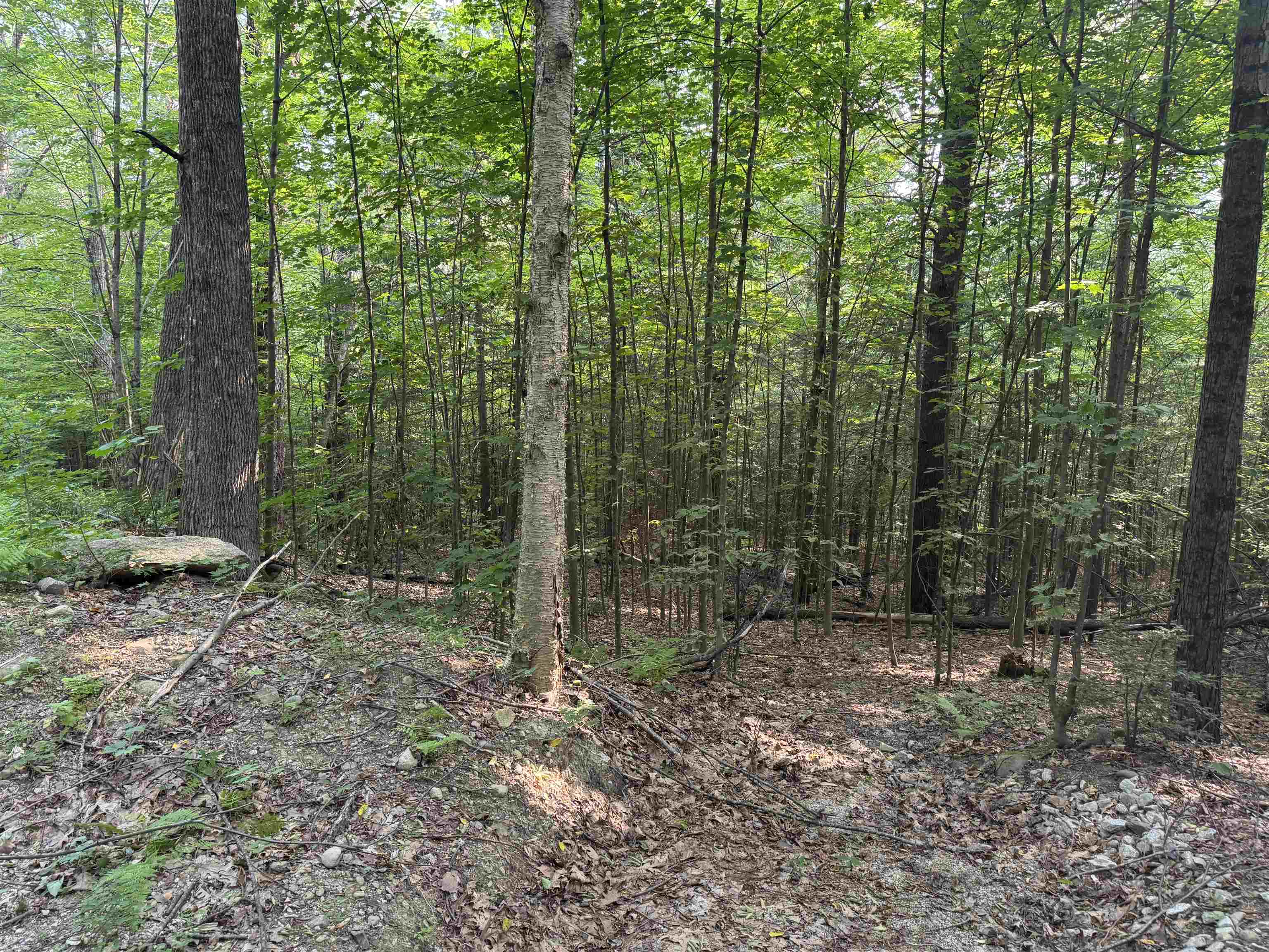 MLS #5055110 image #47