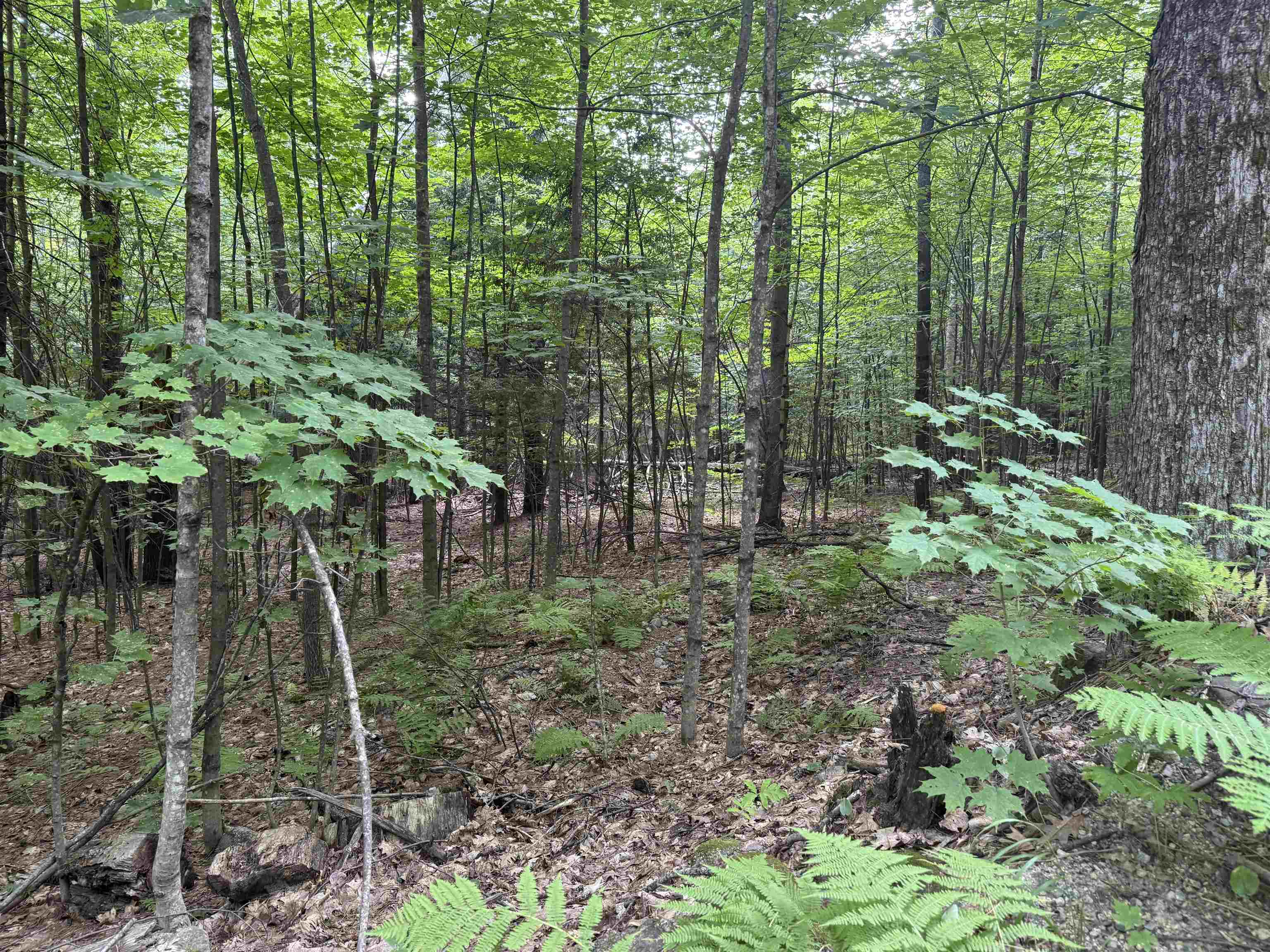 MLS #5055110 image #49