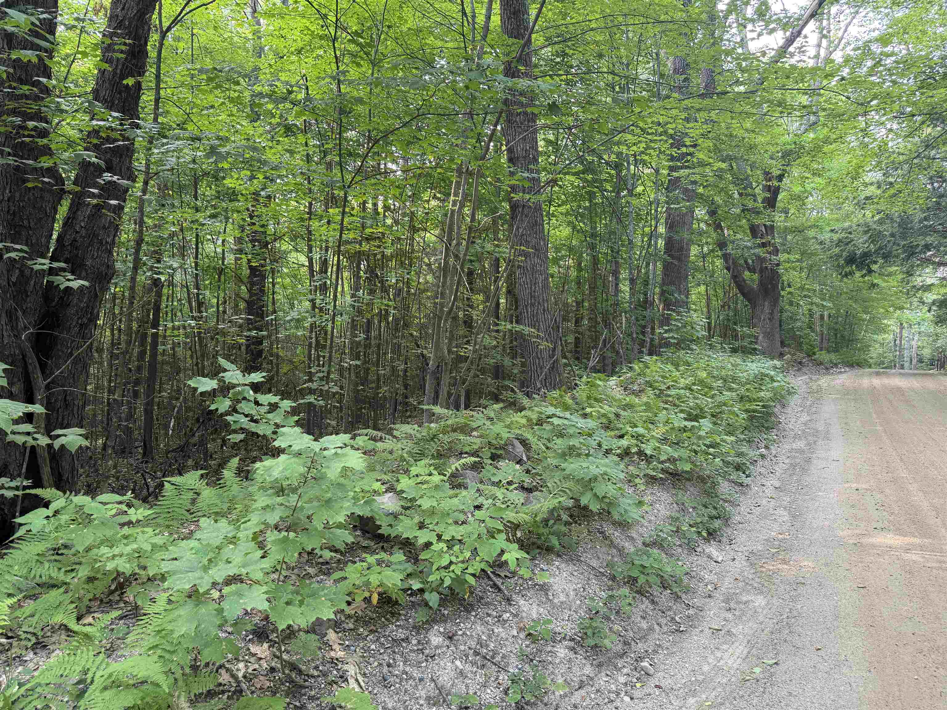 MLS #5055110 image #6