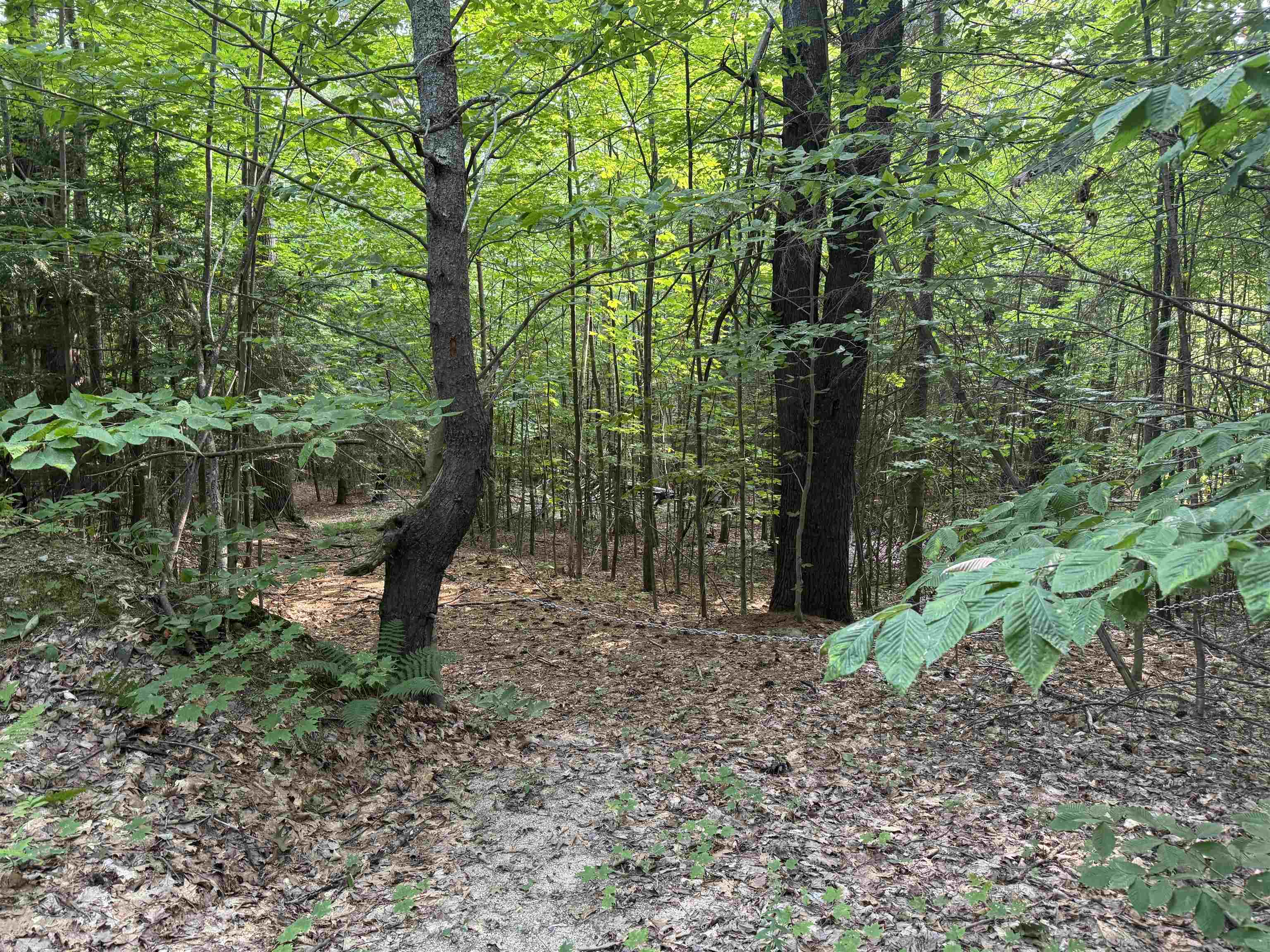 MLS #5055110 image #7