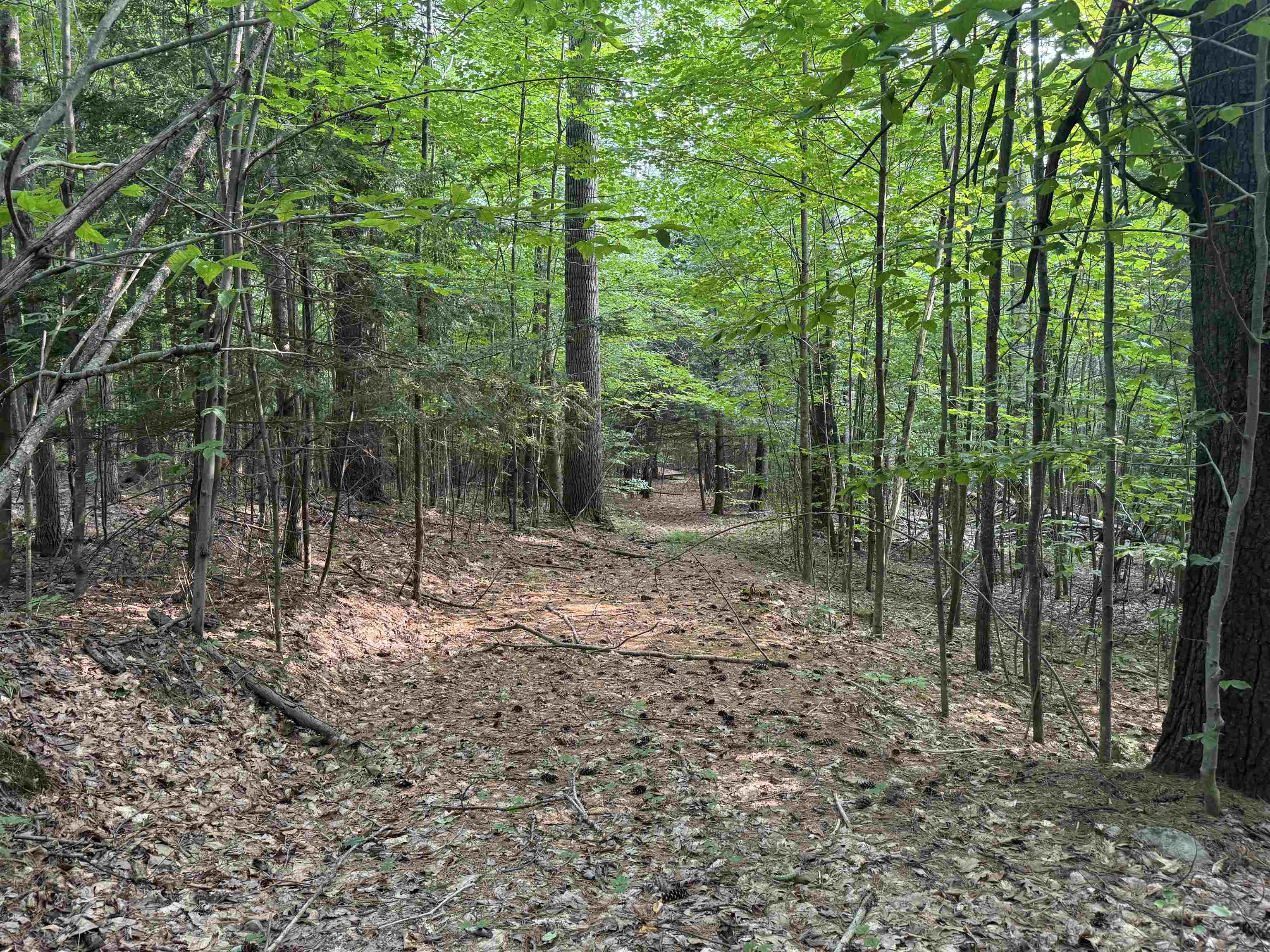 MLS #5055110 image #8