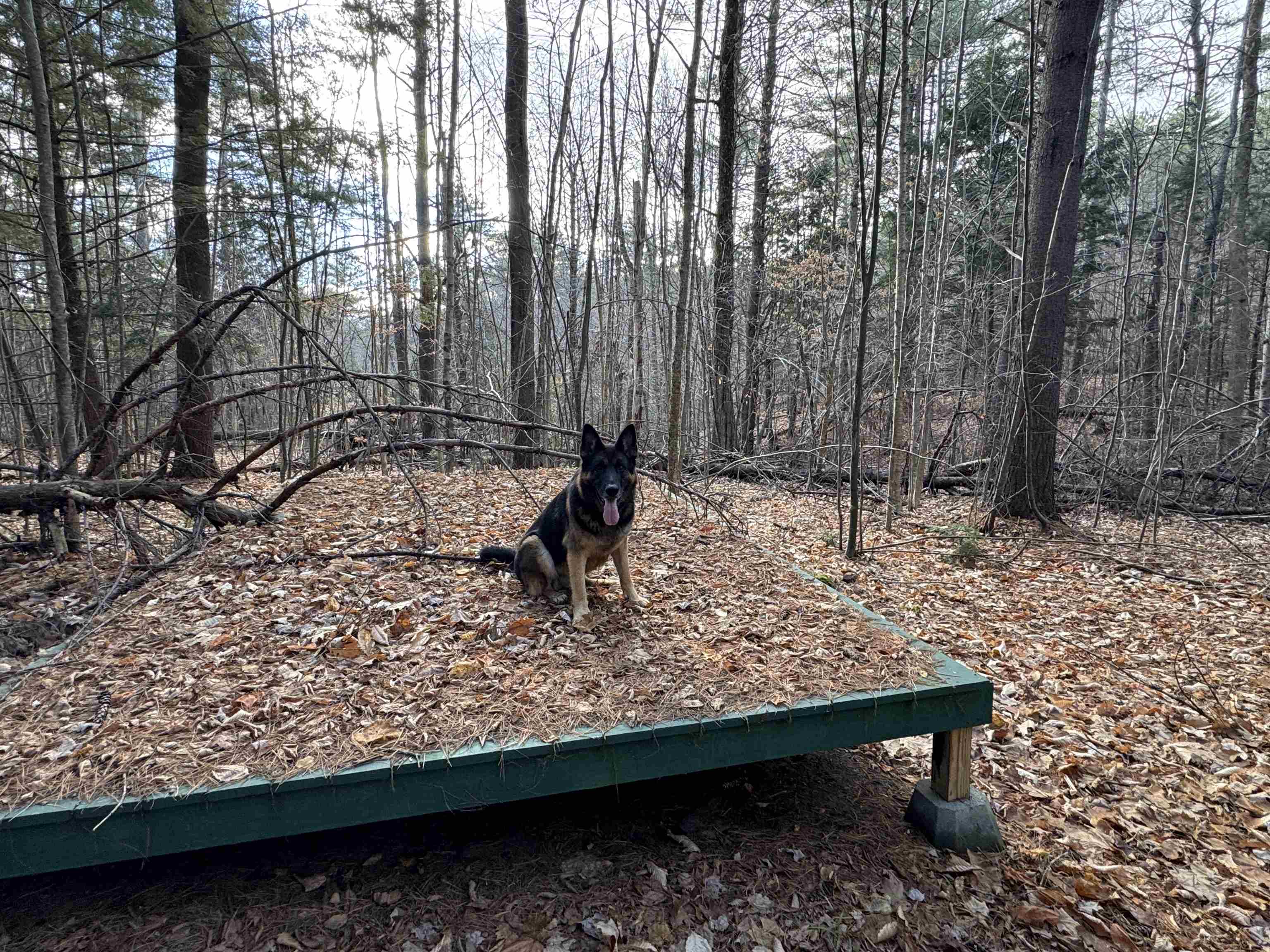 MLS #5055110 image #9