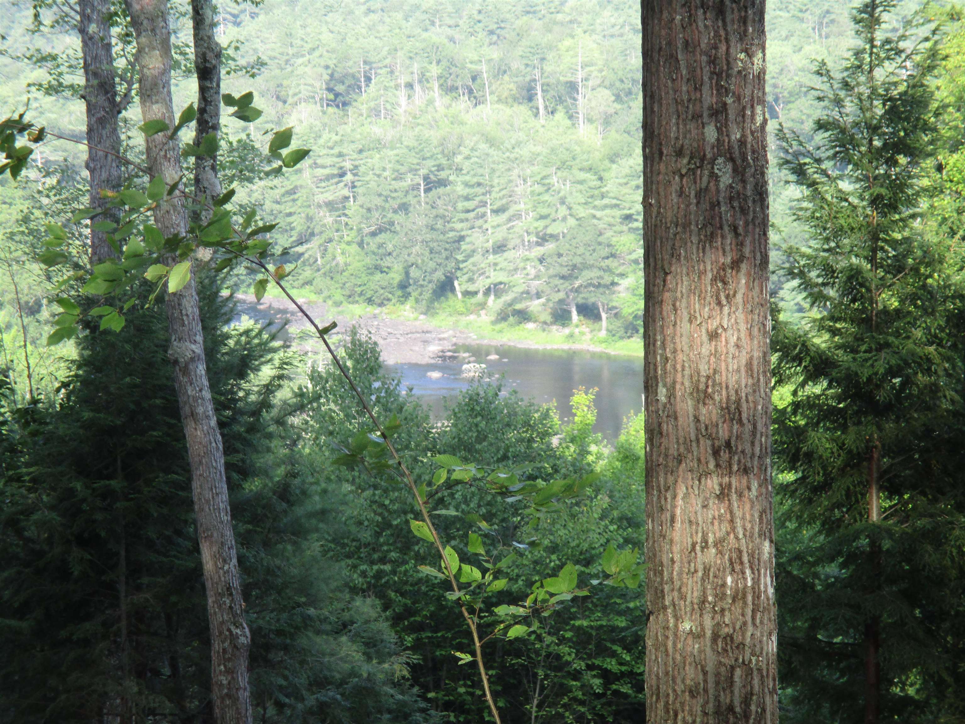 View of the River from homesite