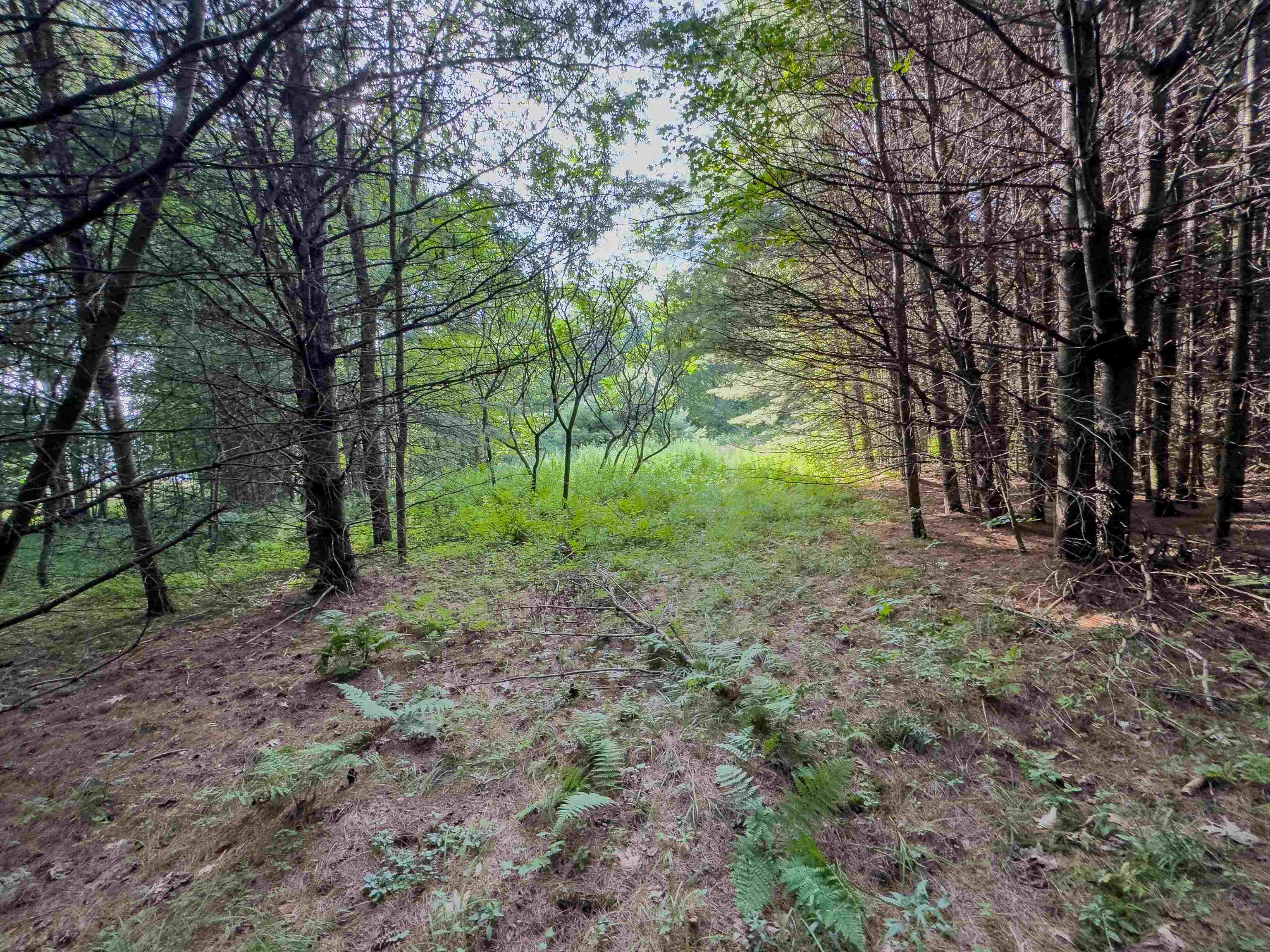 Homes for sale in Monroe, NH | 00 Woodsville Rd, Monroe, NH 03771 | MLS# 5055231