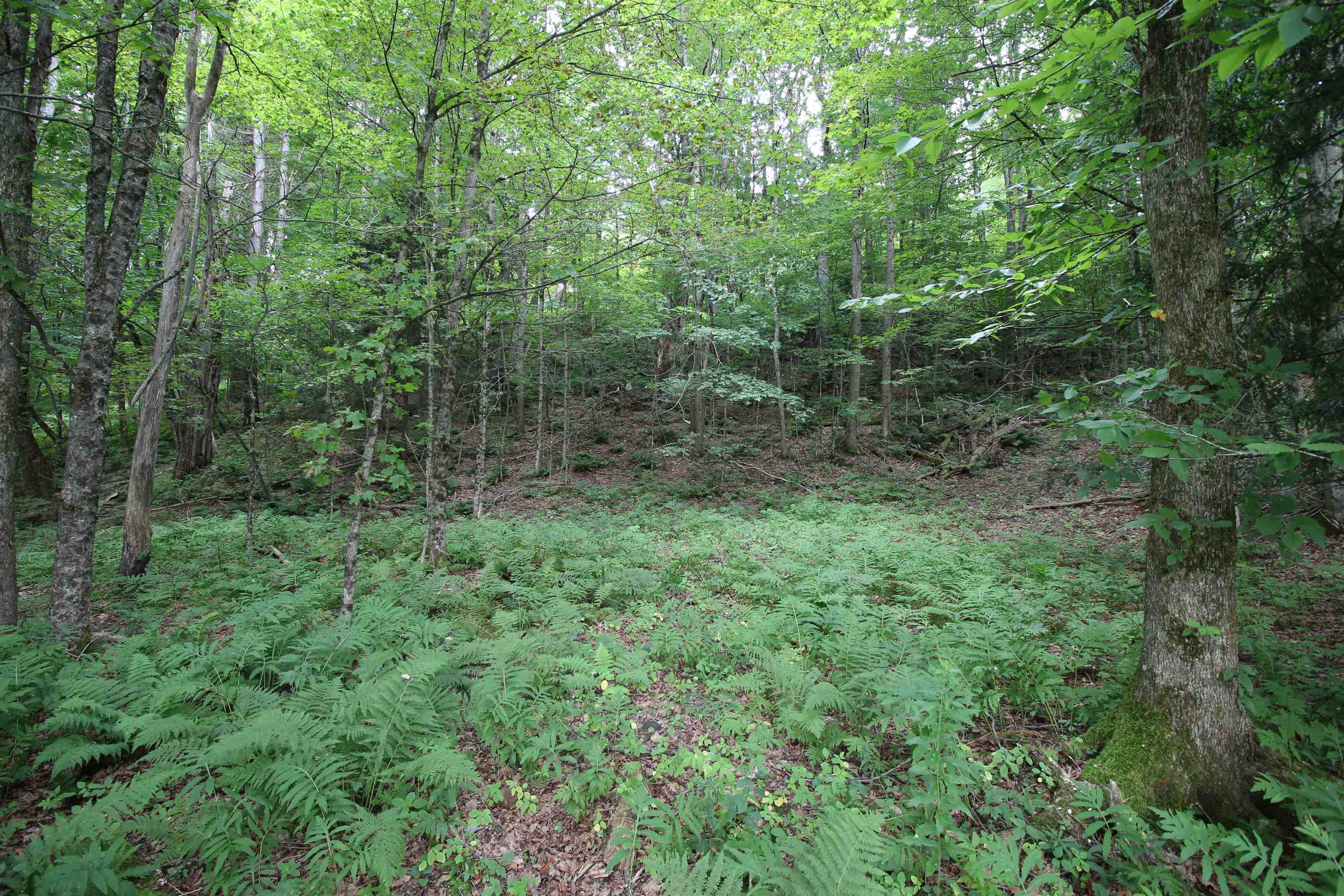 Pittsfield VT Land for sale $80,000 | 2.02 Acres  | Price Per Acre $0  | Total Lots 2