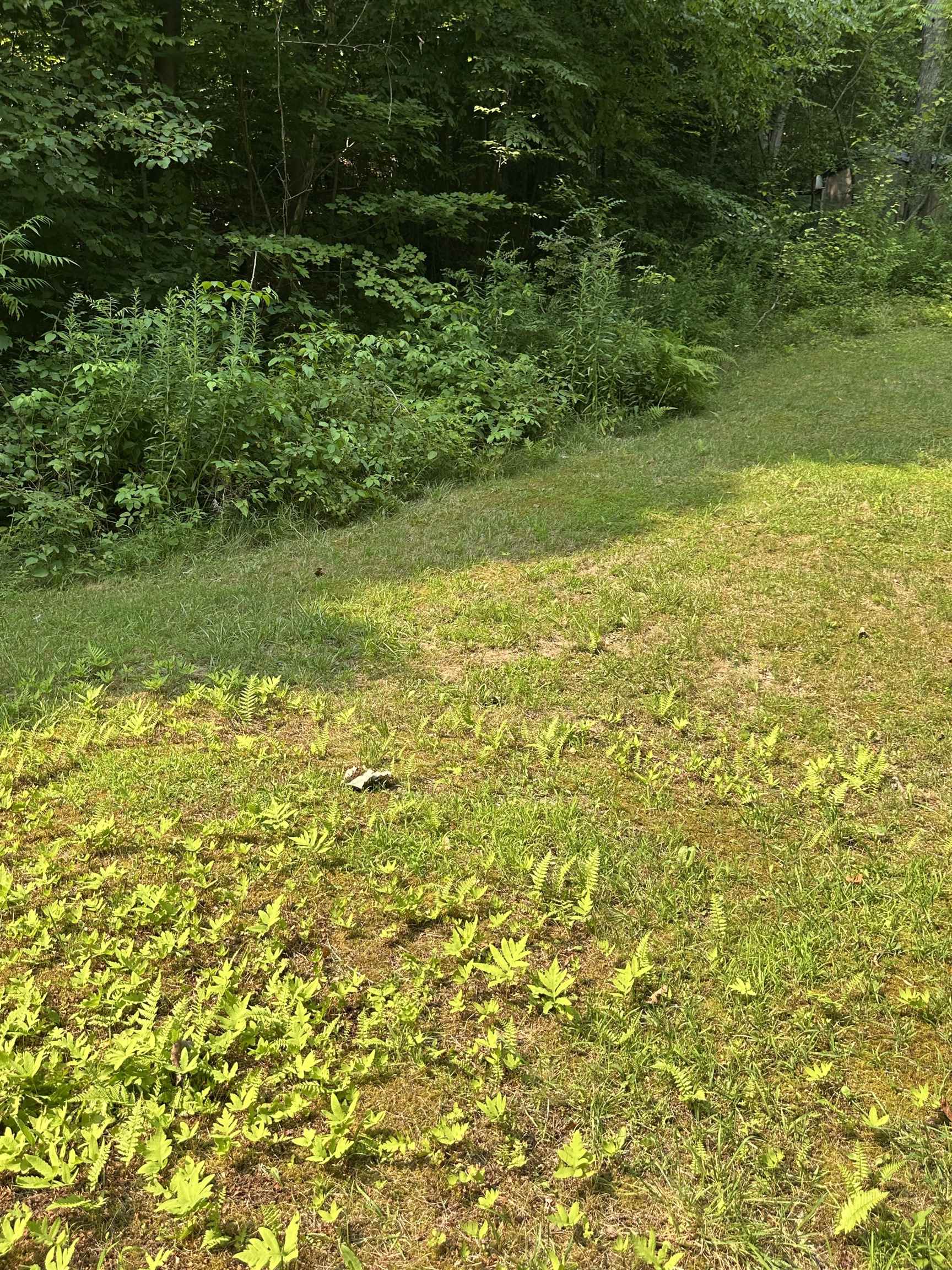 Homes for sale in Salisbury, VT | 51 Crane View Dr, Salisbury, VT 05769 | MLS# 5055351