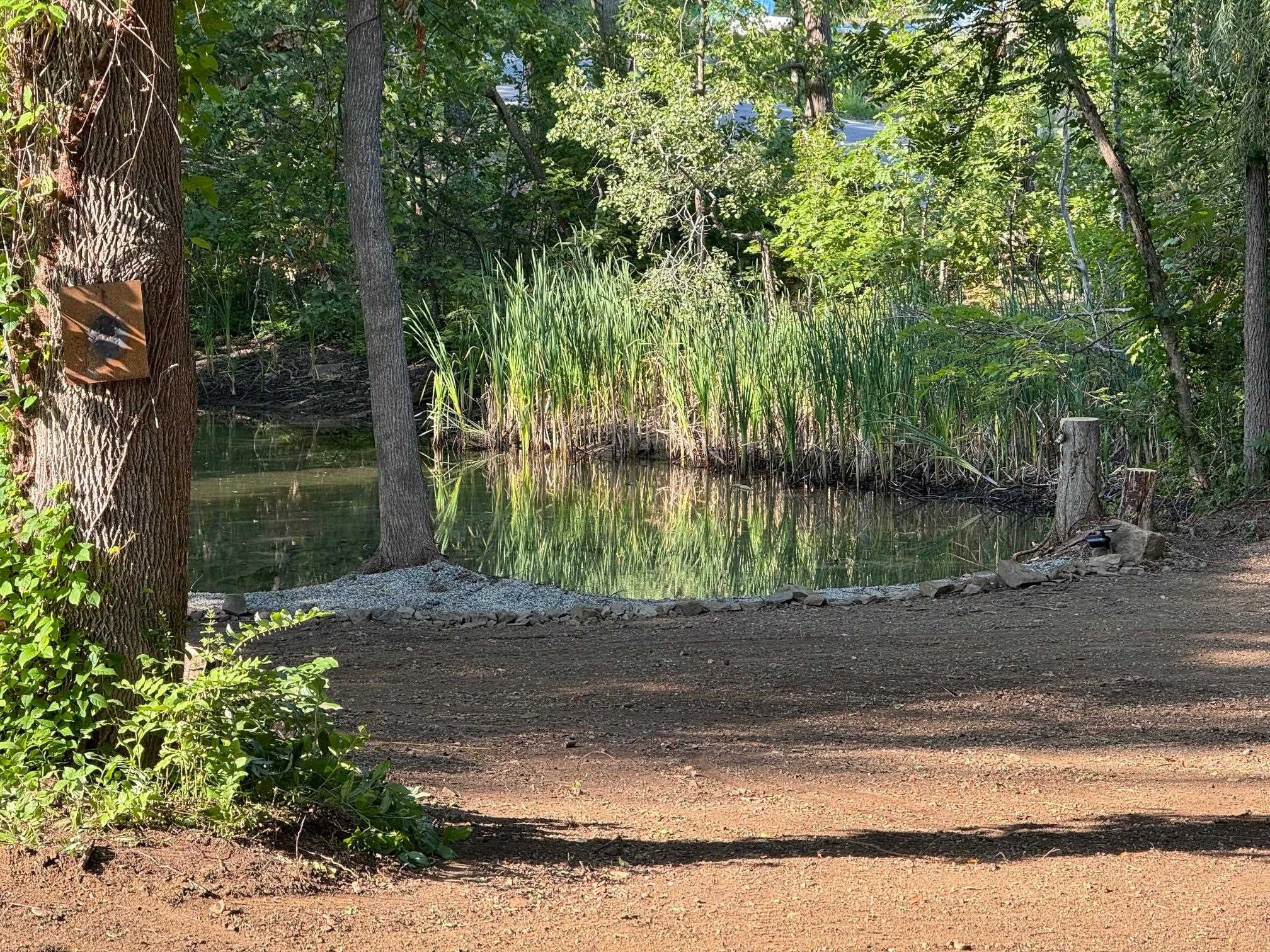 MLS #5055389 image #9