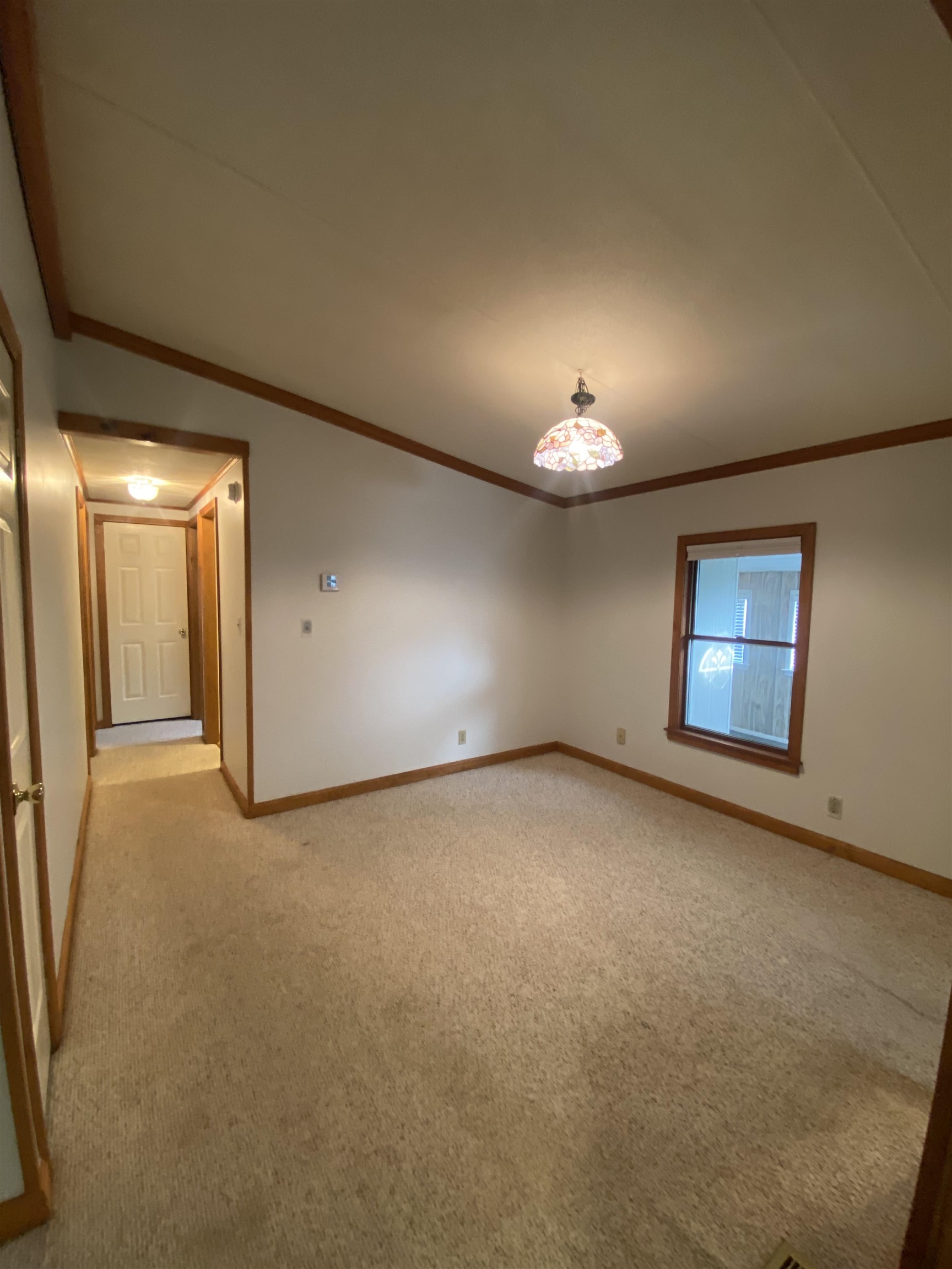 Photo 11 of 22