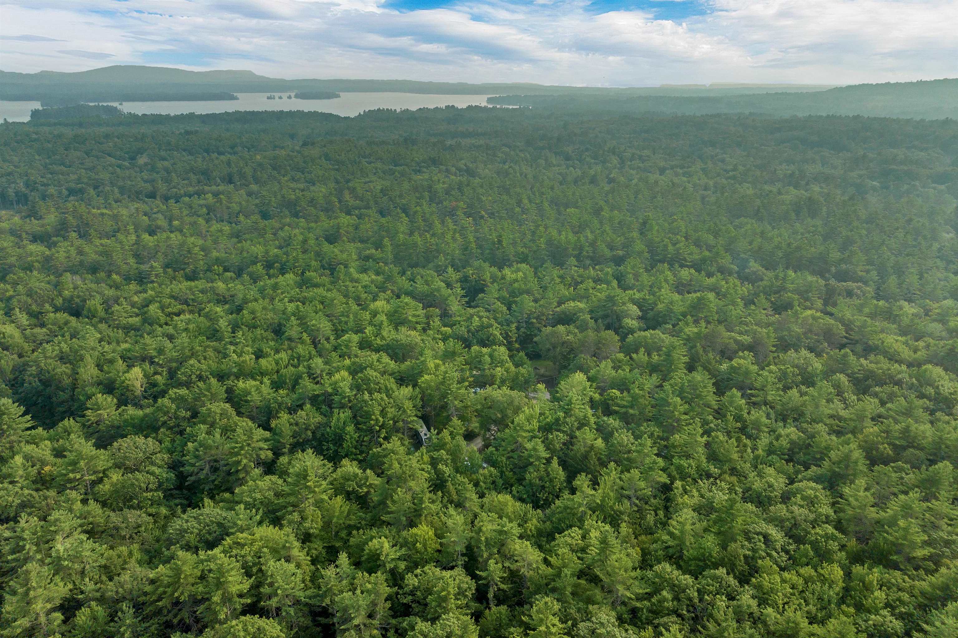 MLS #5055571 image #2