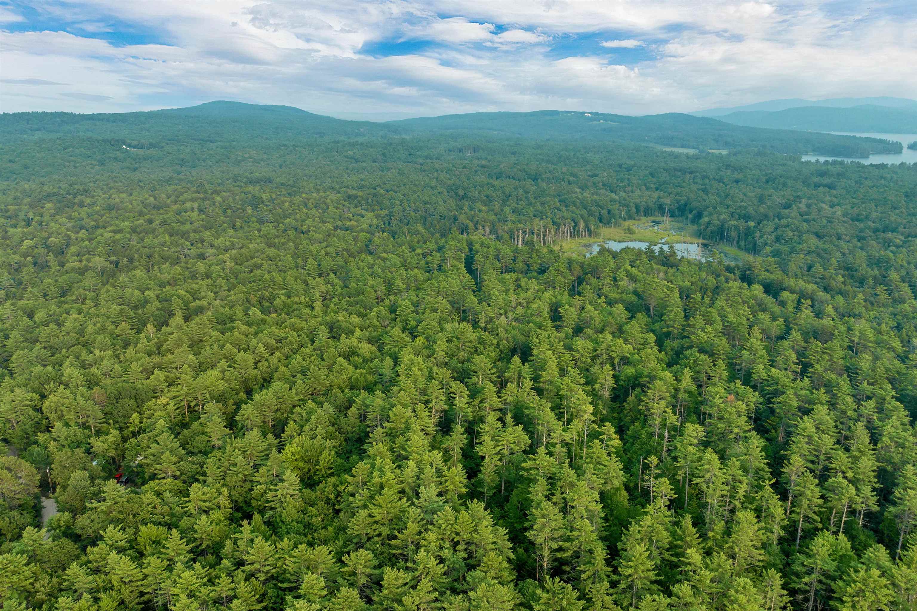 MLS #5055571 image #6