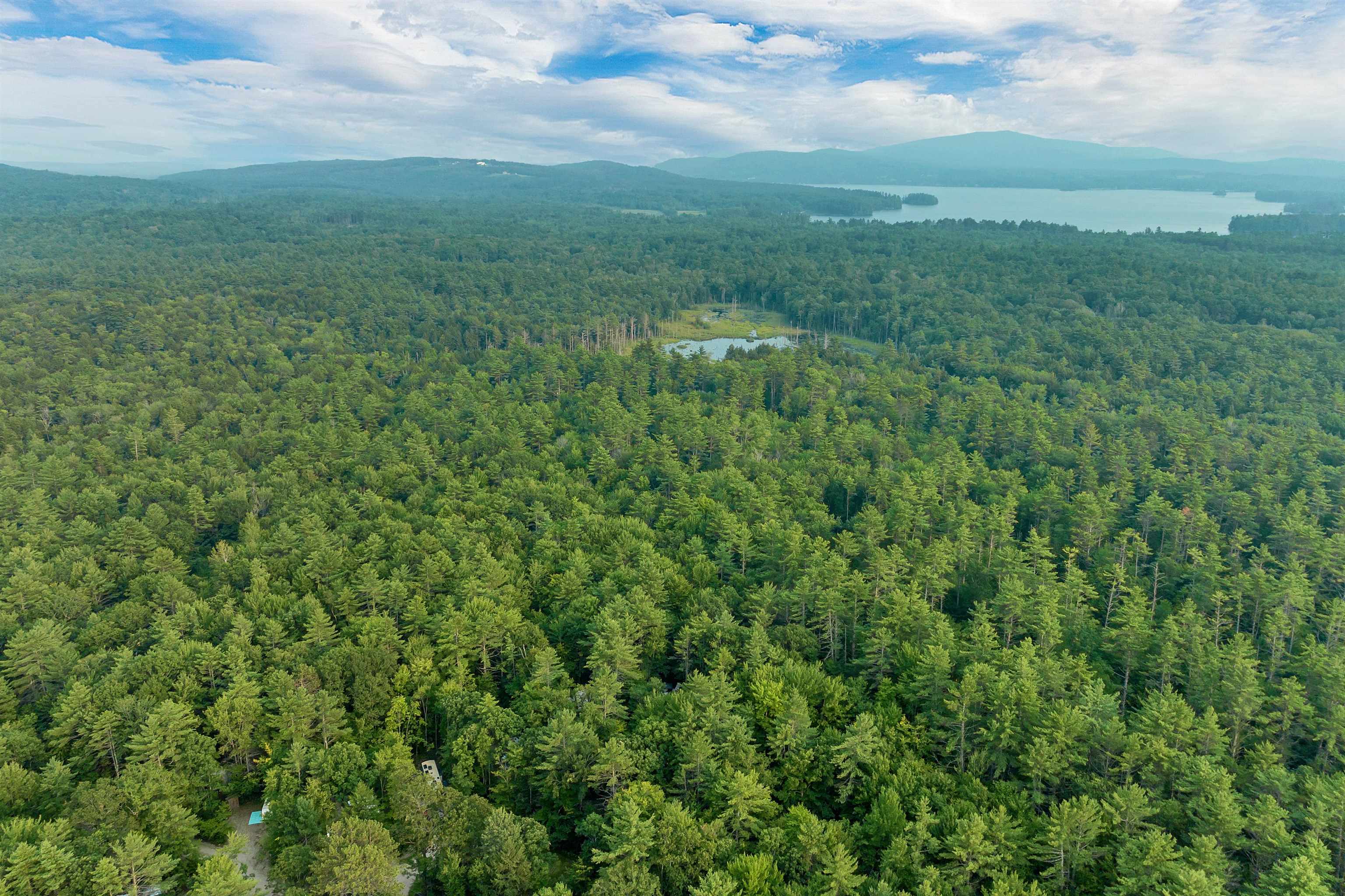 MLS #5055571 image #7