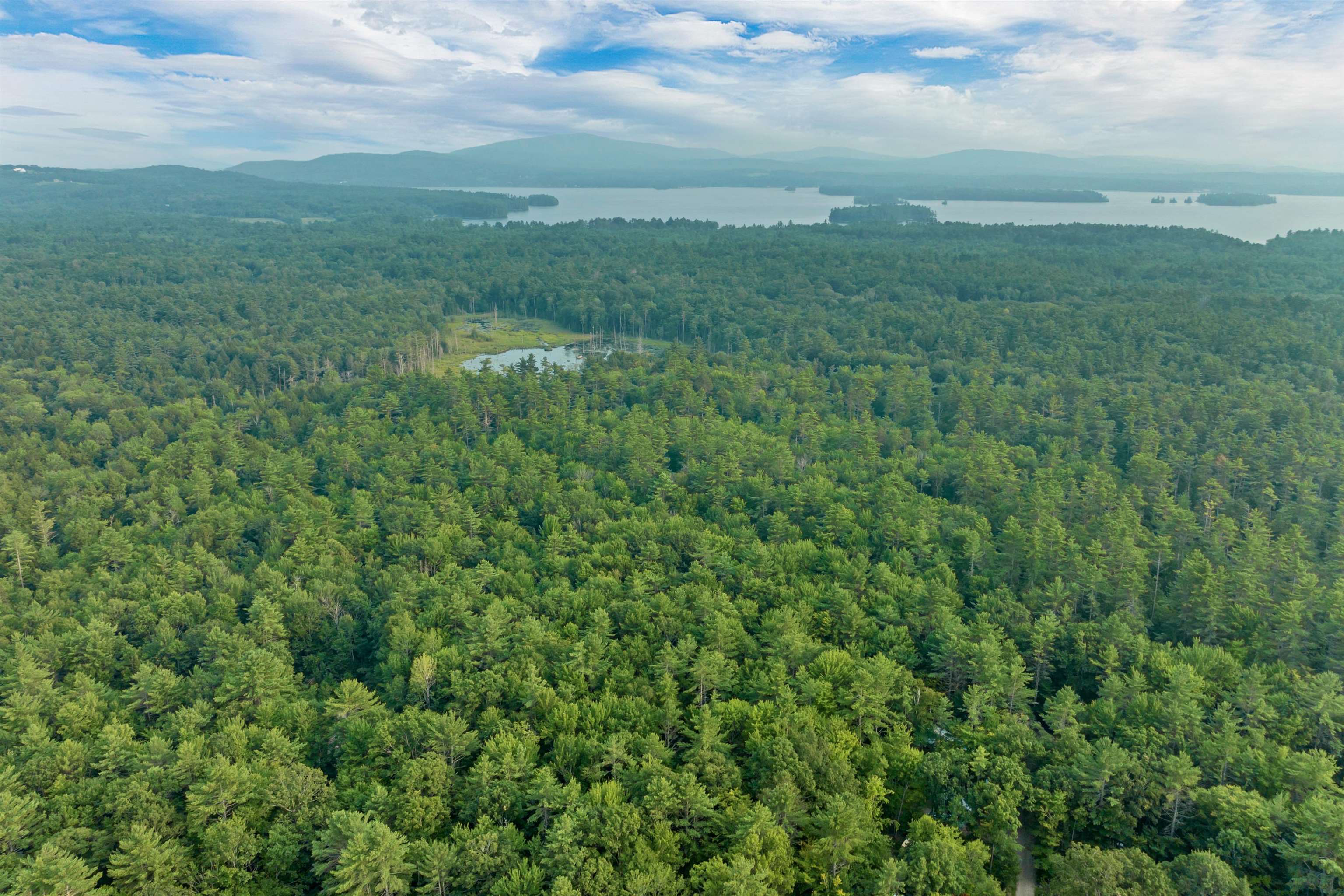 MLS #5055571 image #8