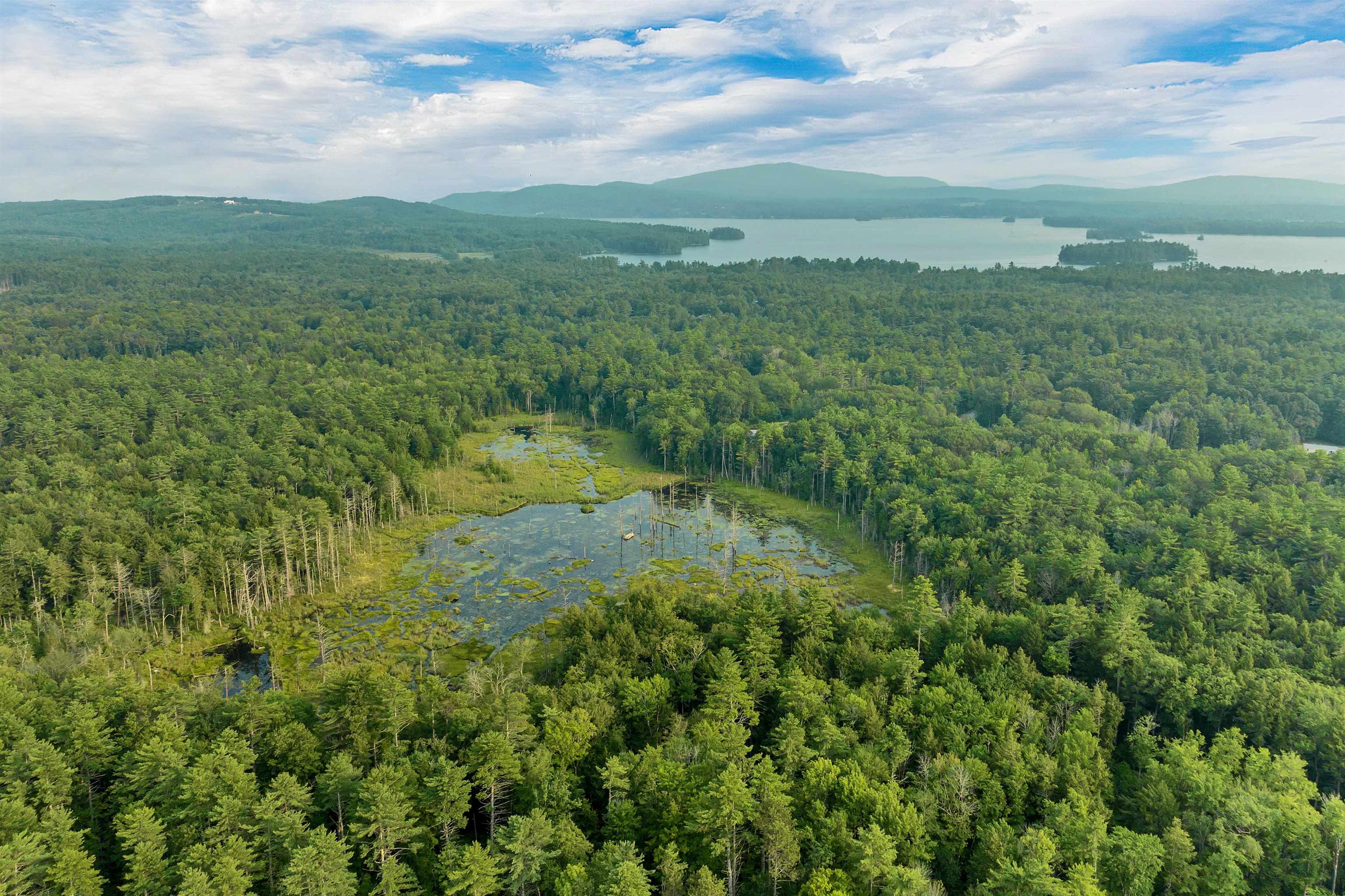 MLS #5055571 image #9