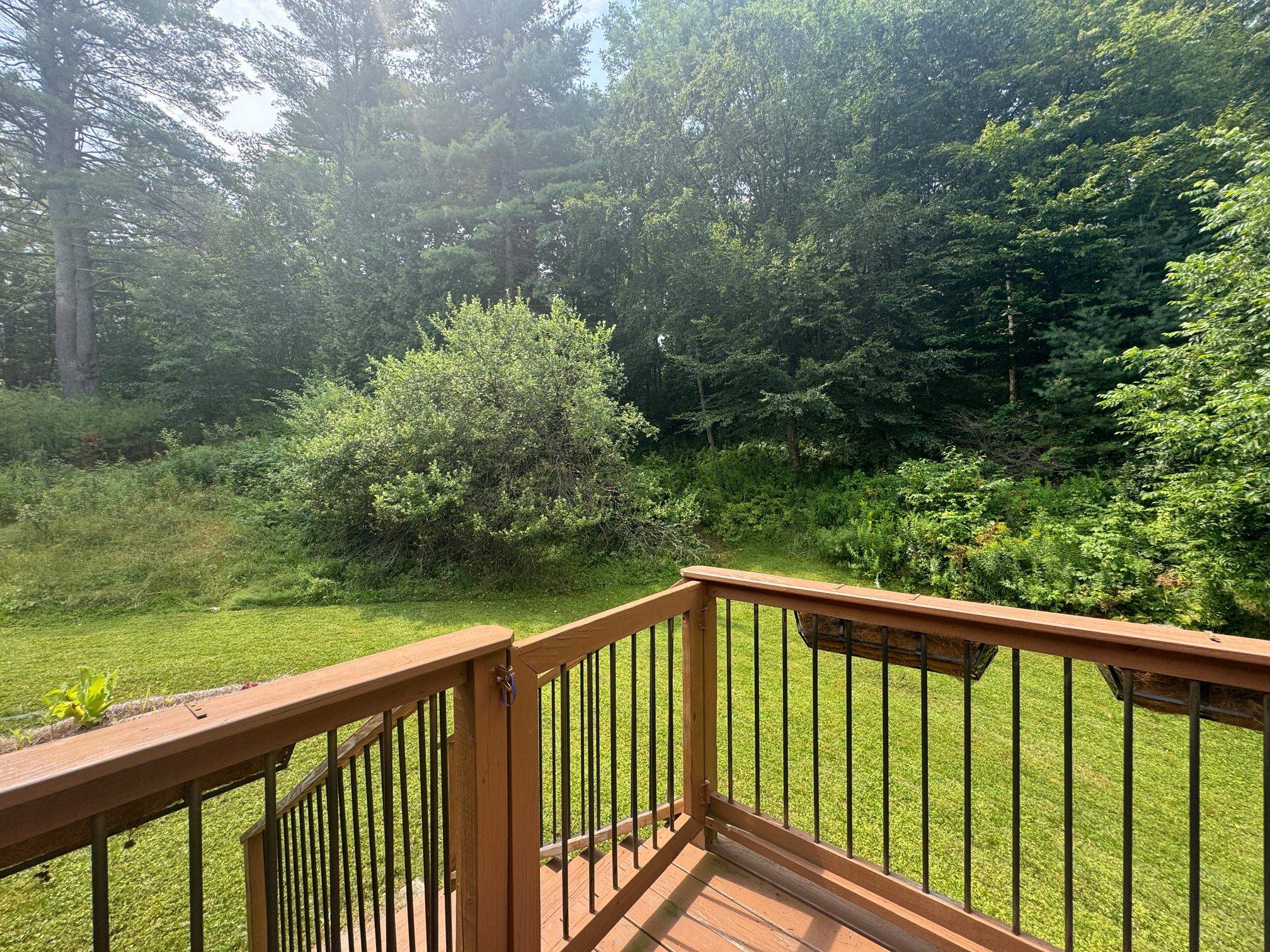 View from Back Deck