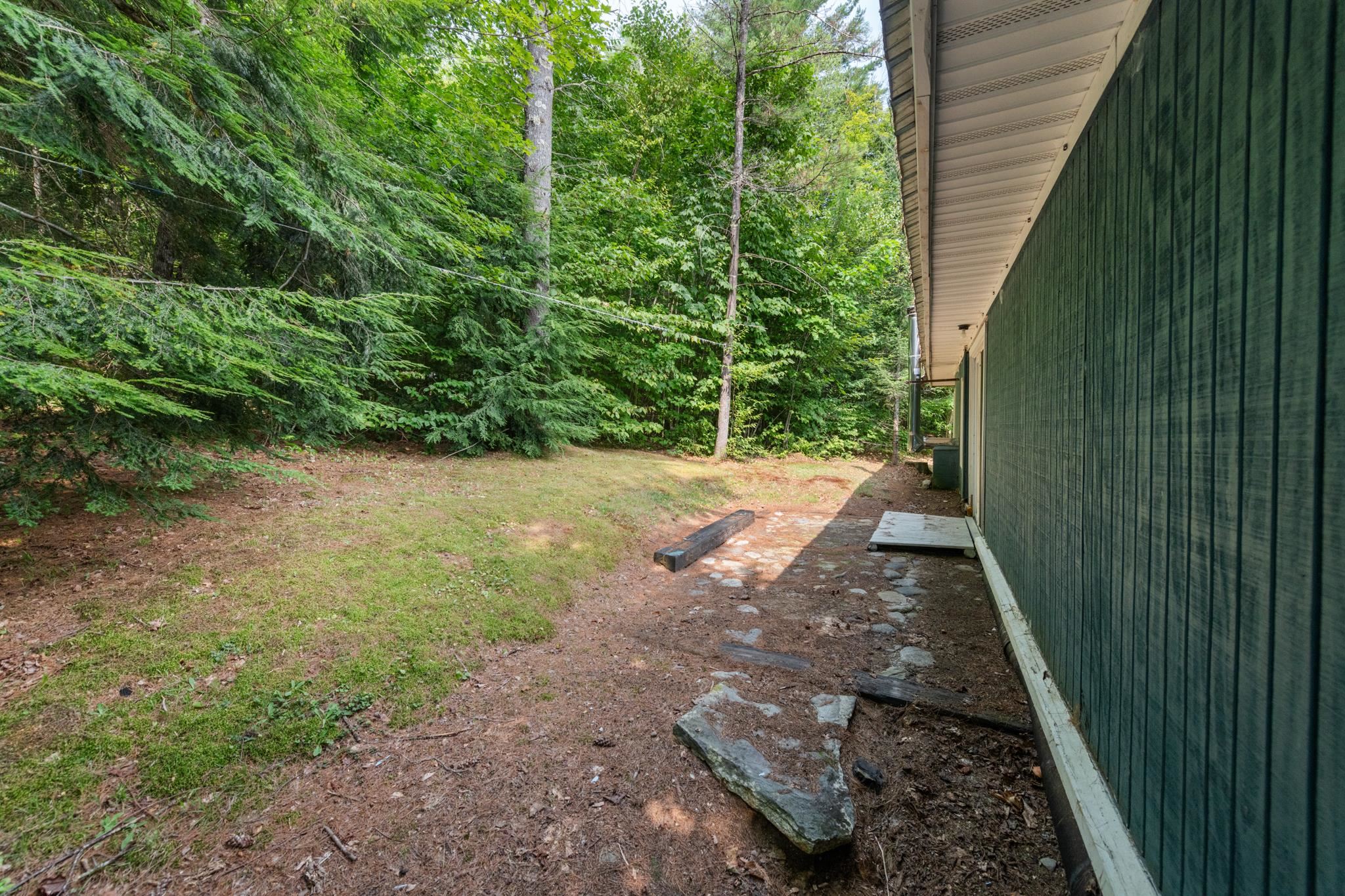 Back yard