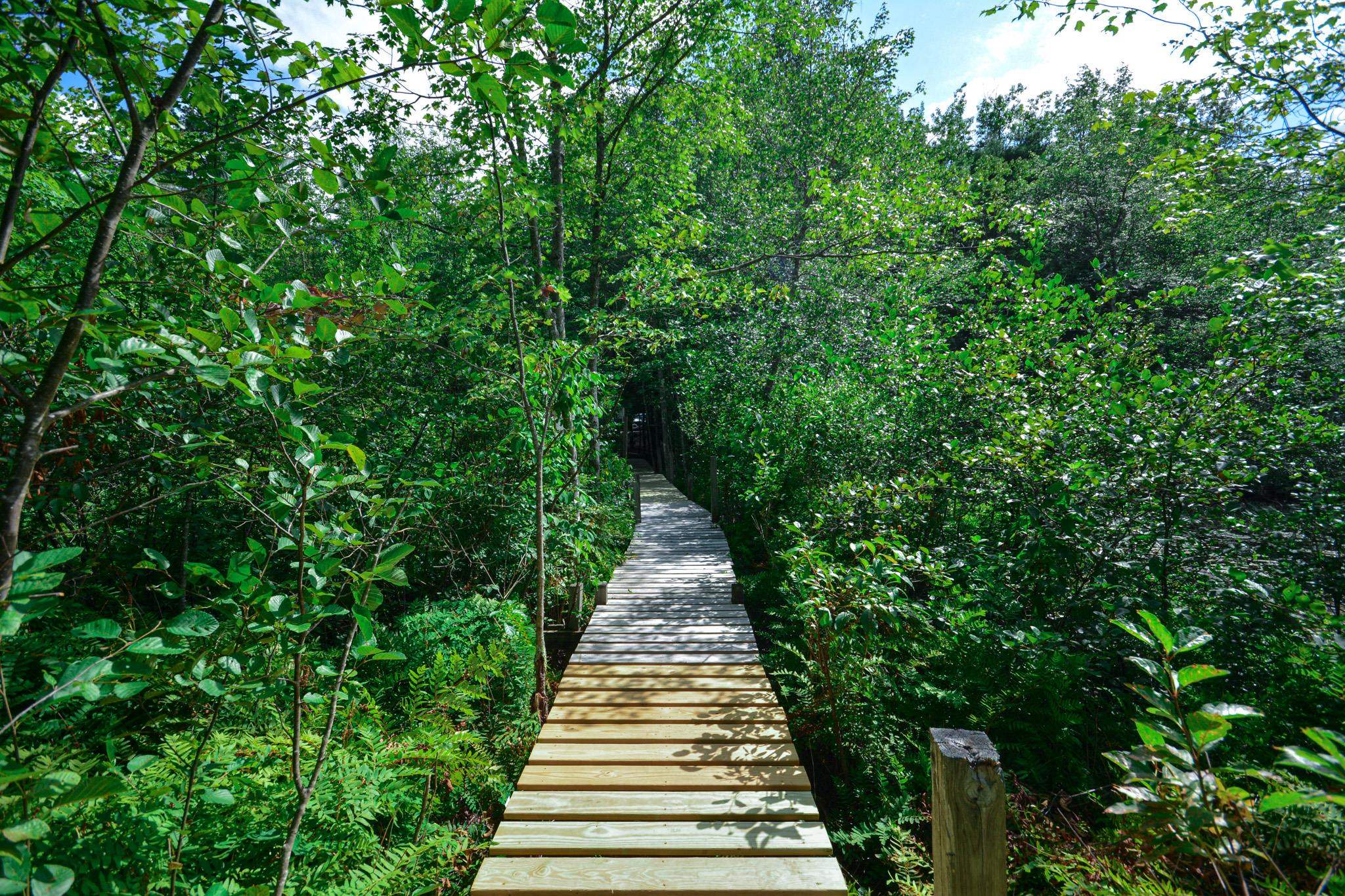 A tranquil walk to the waterfront 23955385
