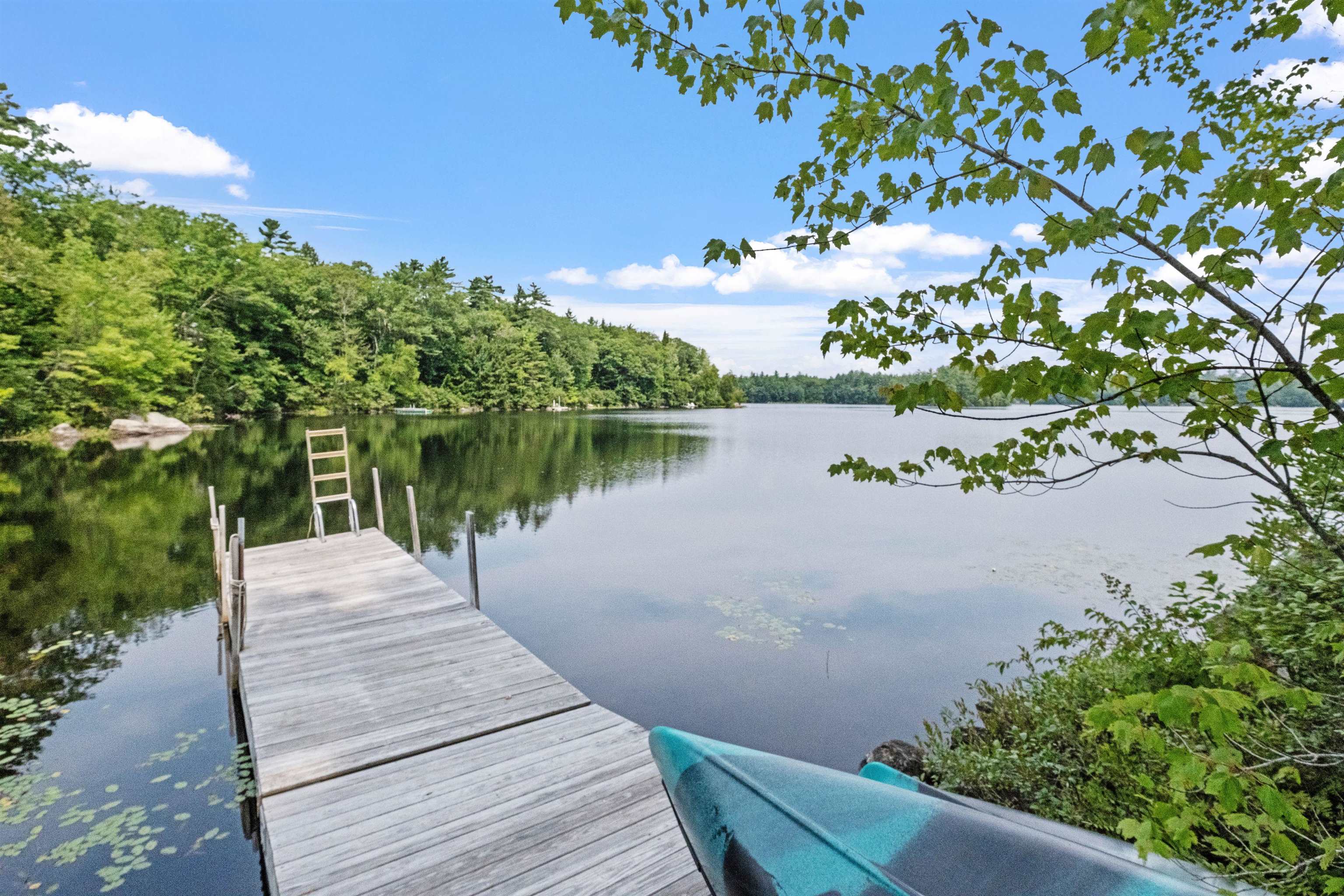 A Lovely Place to Swim and Relax 23855676