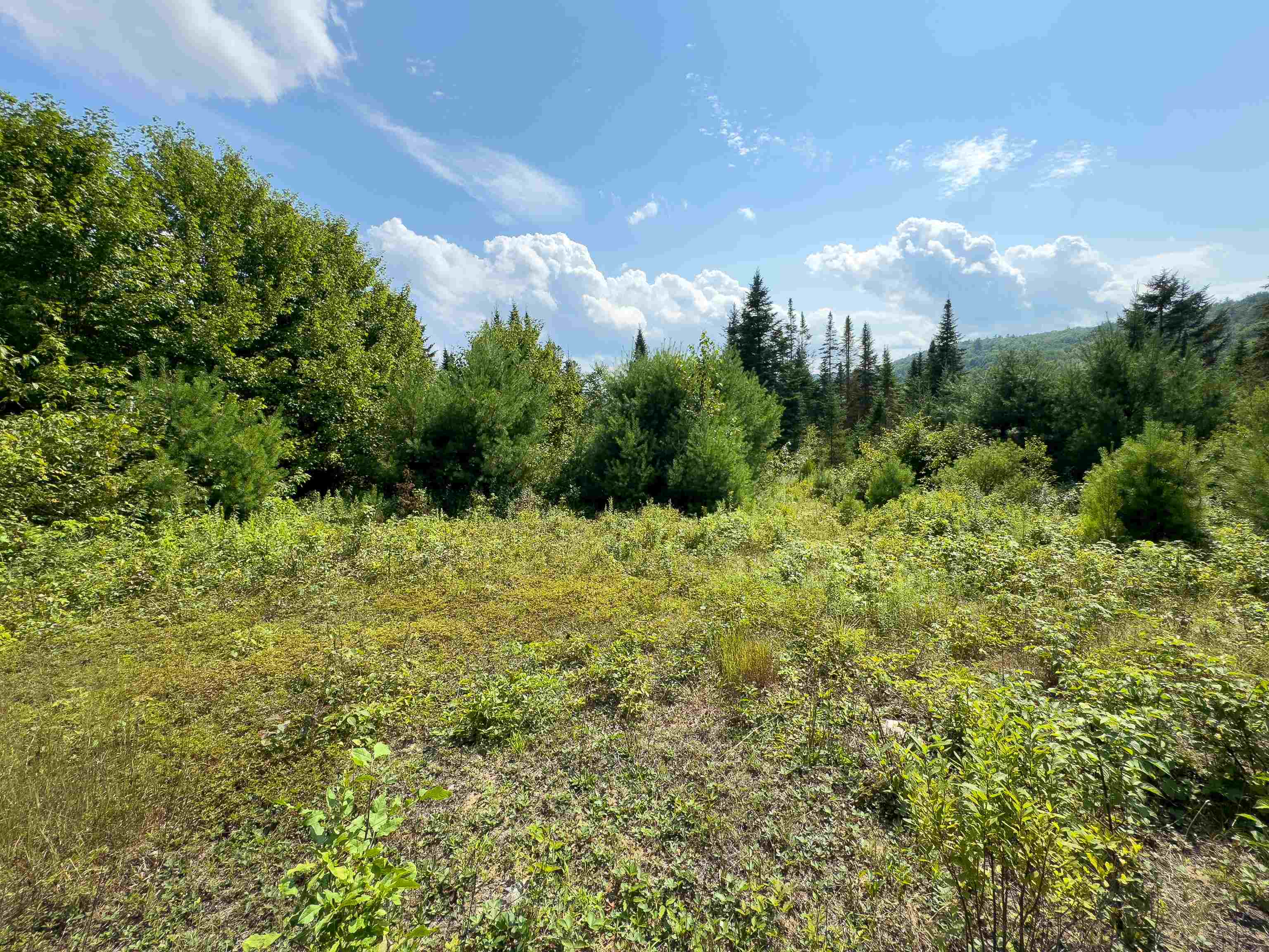 Newbury VT Land for sale $149,900 | 69 Acres  | Price Per Acre $0  | Total Lots 2