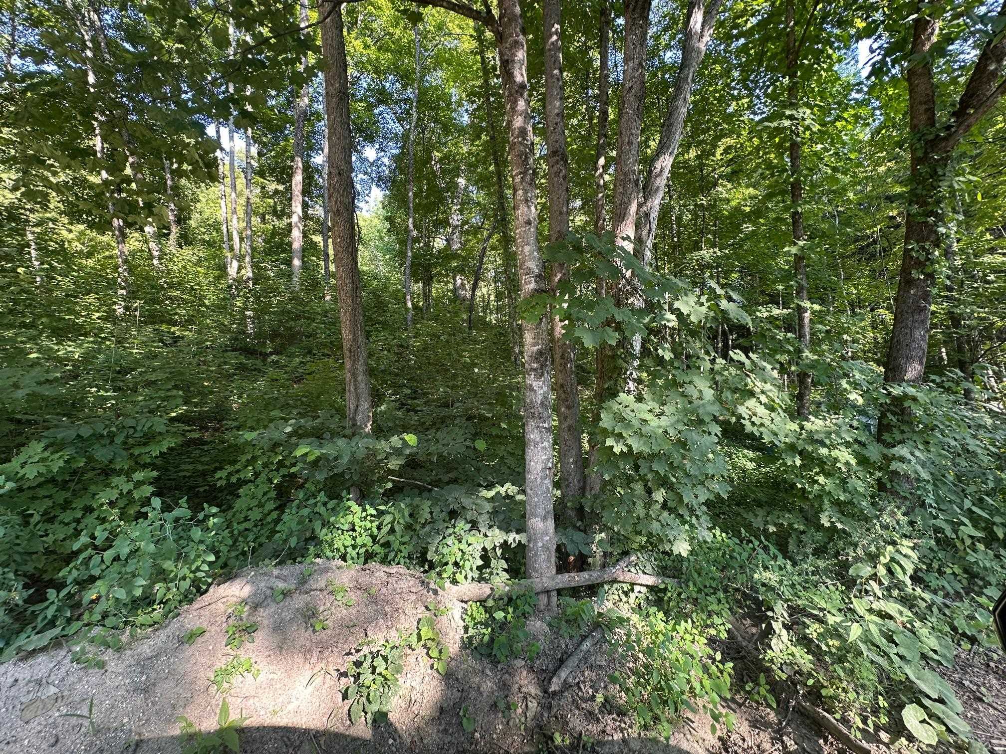 Homes for sale in Winchester, NH | 90 Old Swanzey Rd, Winchester, NH 03470 | MLS# 5055910