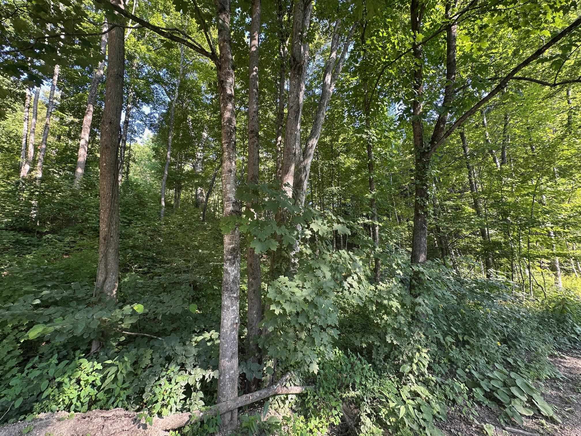 Homes for sale in Winchester, NH | 90 Old Swanzey Rd, Winchester, NH 03470 | MLS# 5055910