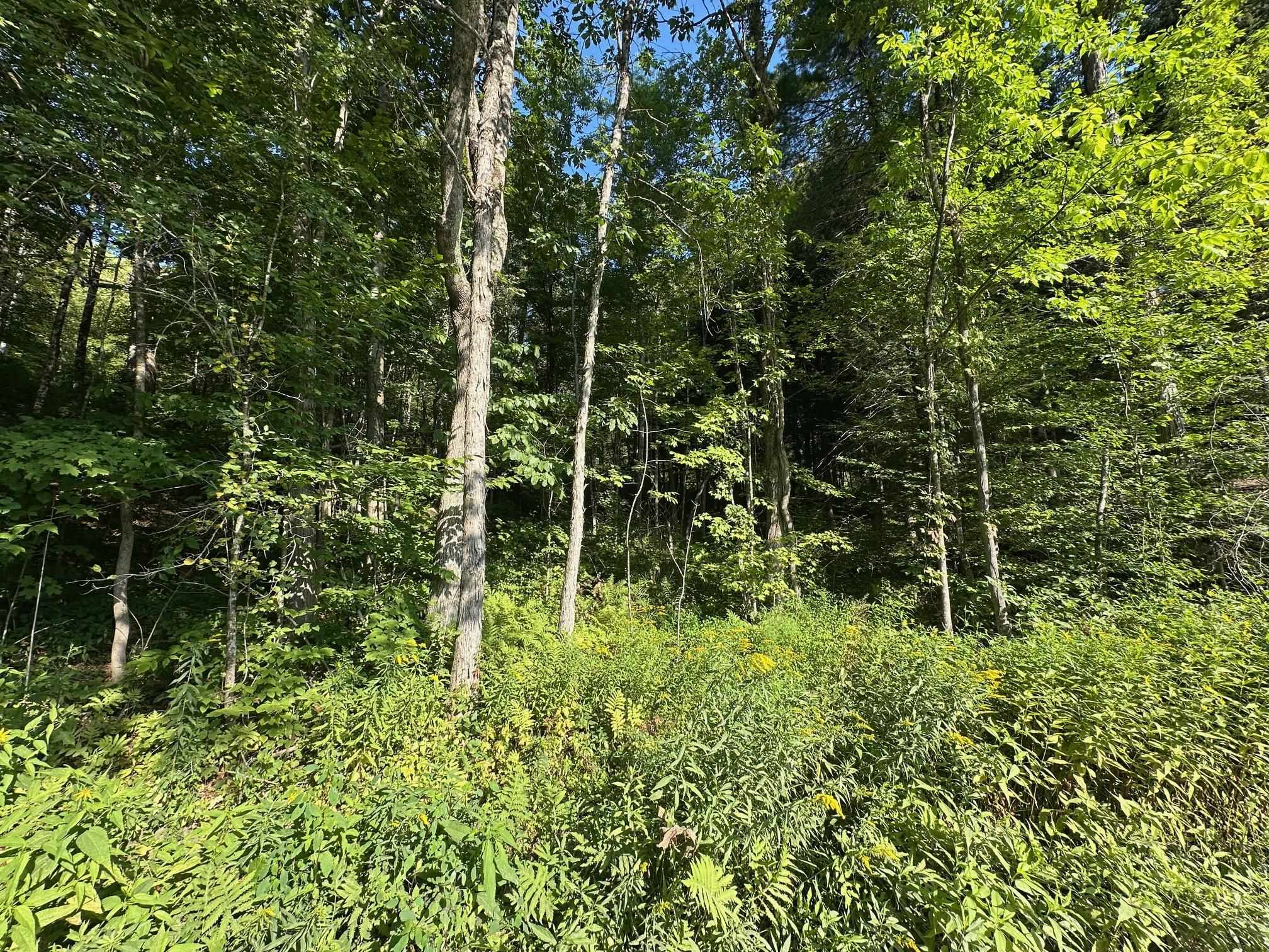 Homes for sale in Winchester, NH | 90 Old Swanzey Rd, Winchester, NH 03470 | MLS# 5055910