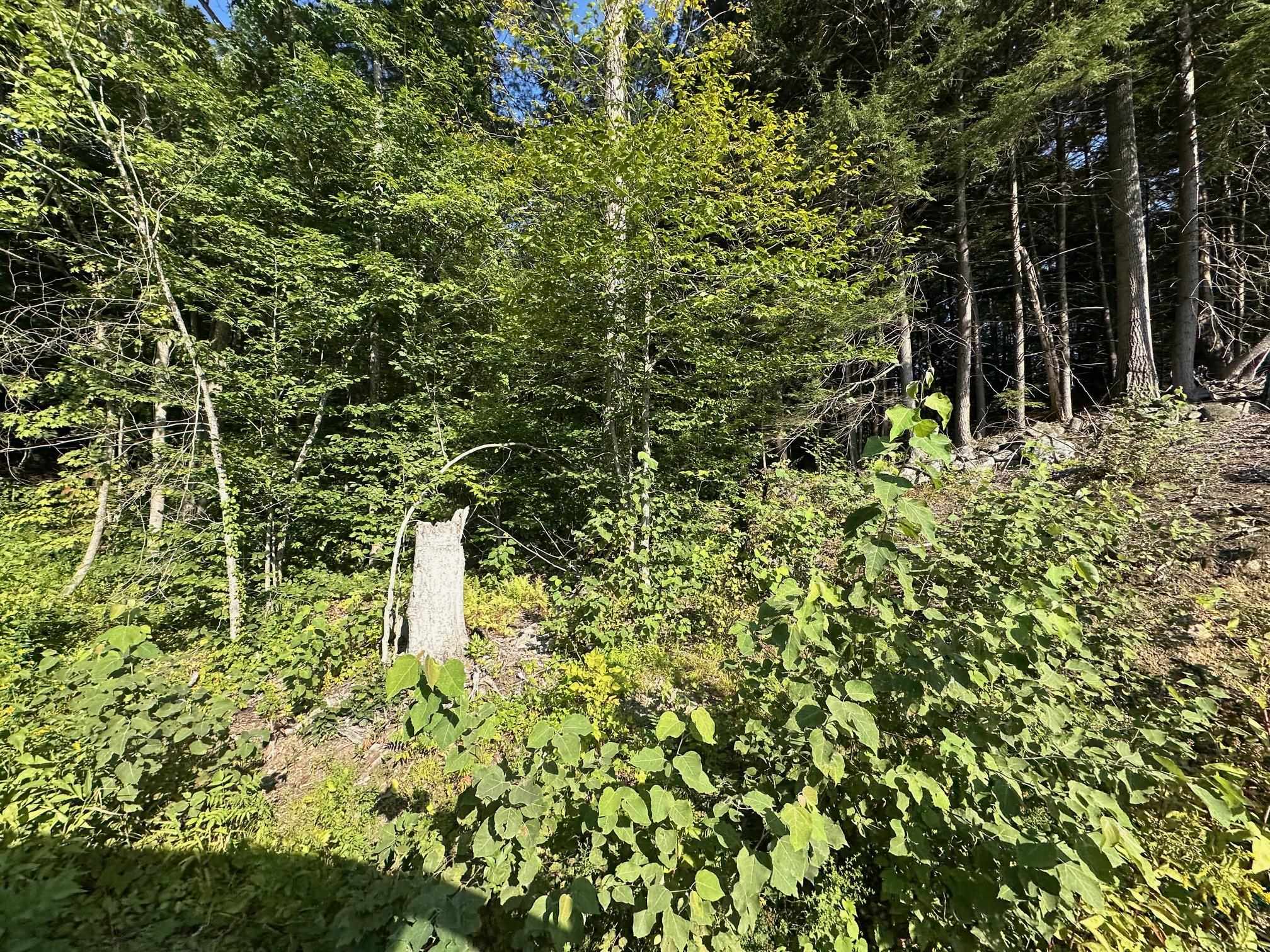 Homes for sale in Winchester, NH | 90 Old Swanzey Rd, Winchester, NH 03470 | MLS# 5055910