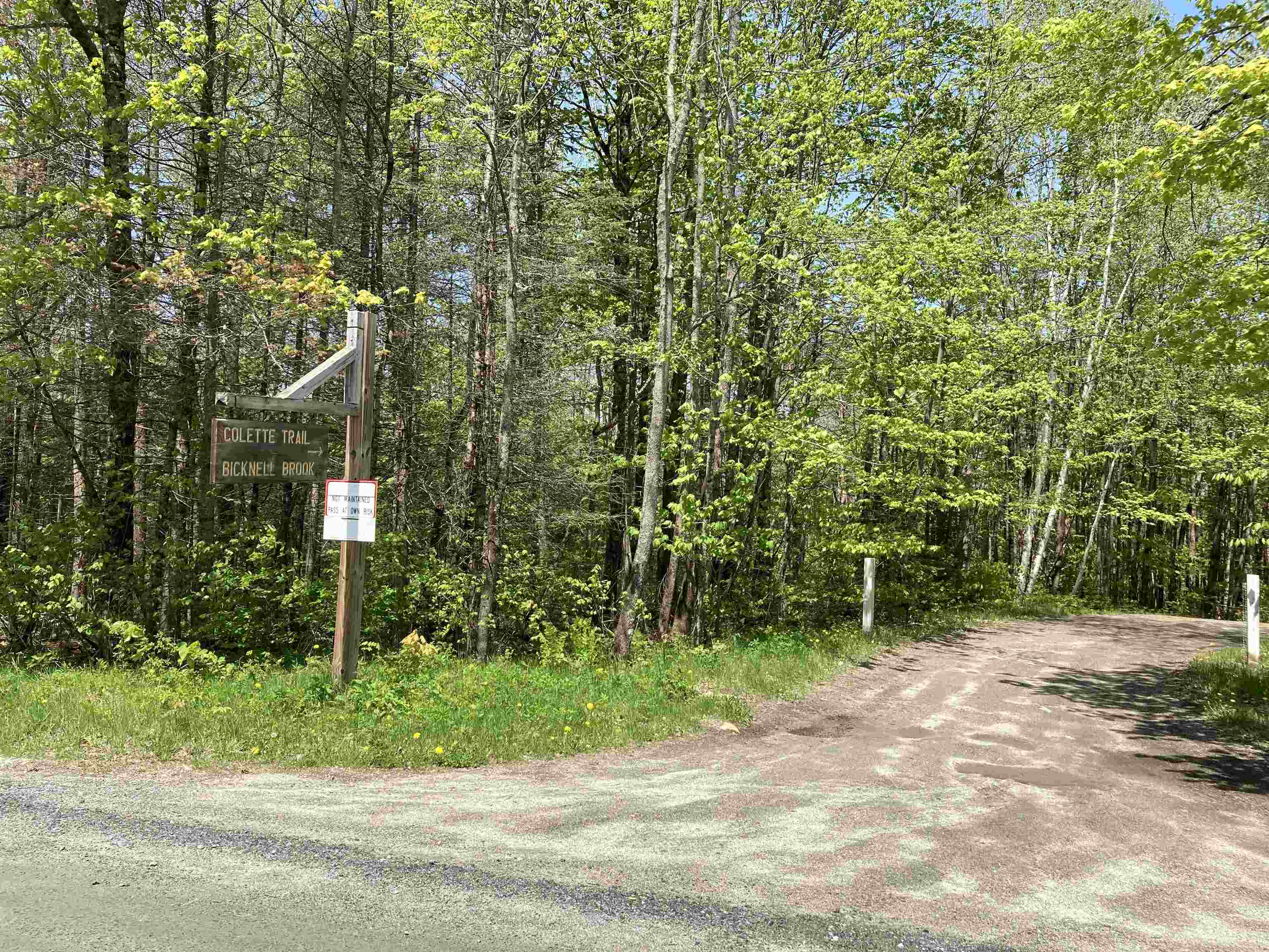 Homes for sale in Grafton, NH | Lot 4 Nh Route 4a, Grafton, NH 03240 | MLS# 5056059