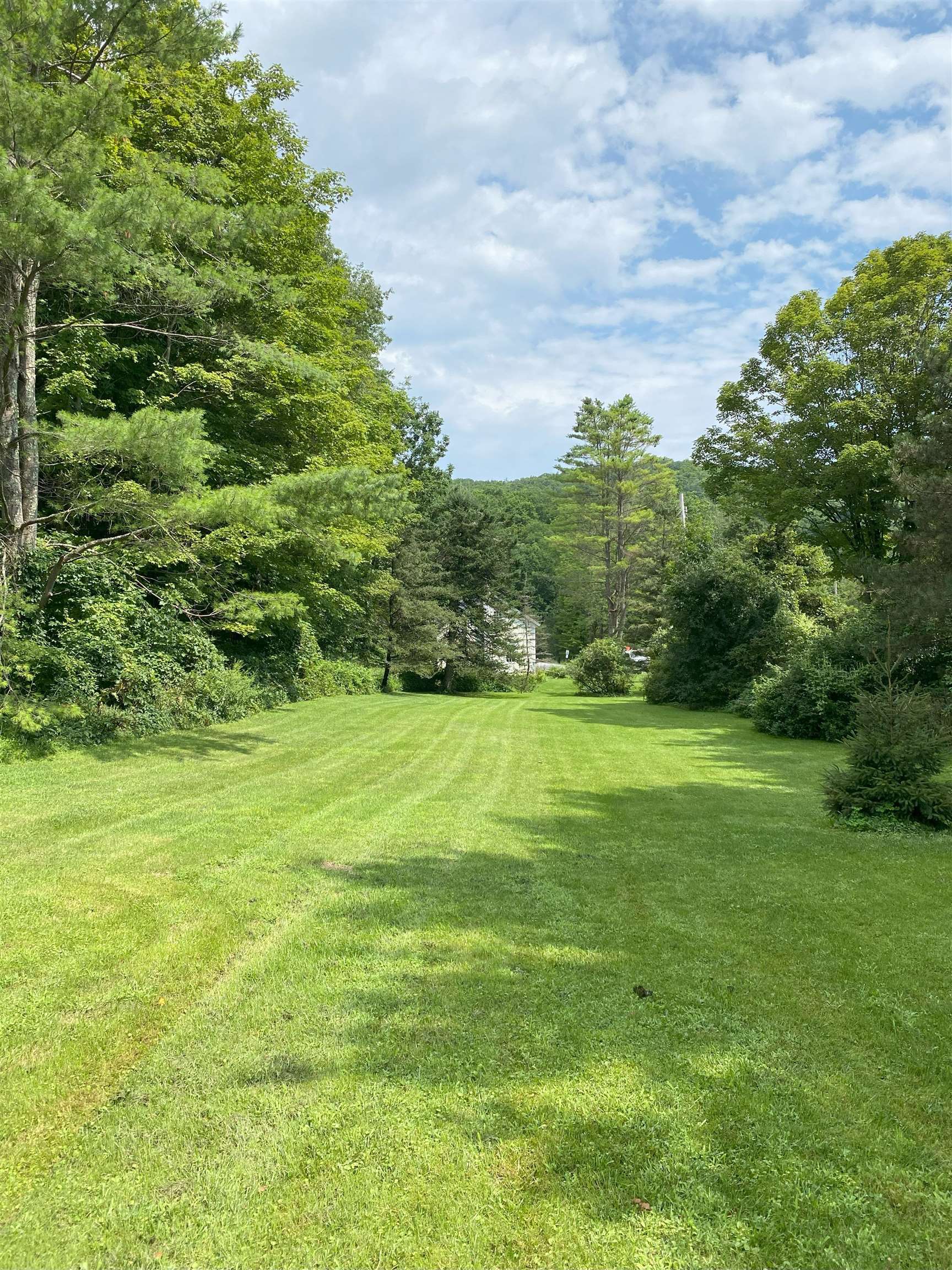 Large Lawn - Right Side