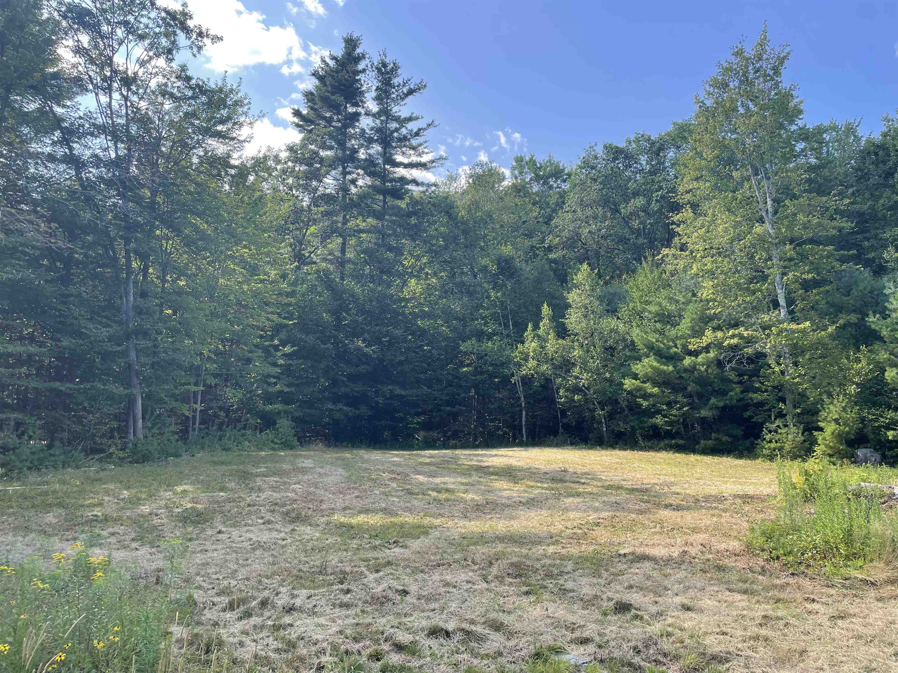 Homes for sale in Halifax, VT | 491 Whitneyville Rd, Halifax, VT 05358 | MLS# 5056172