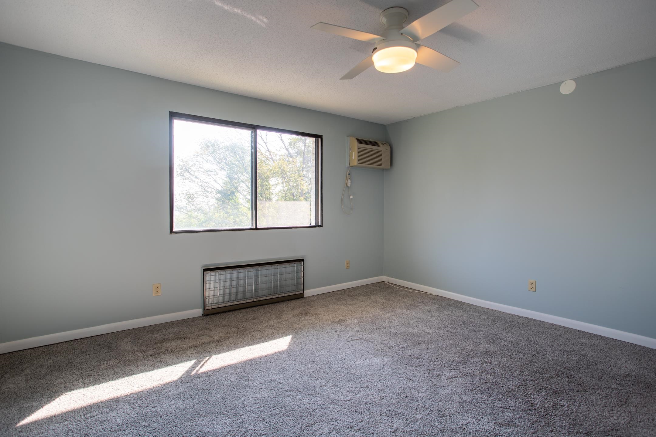Photo 11 of 20
