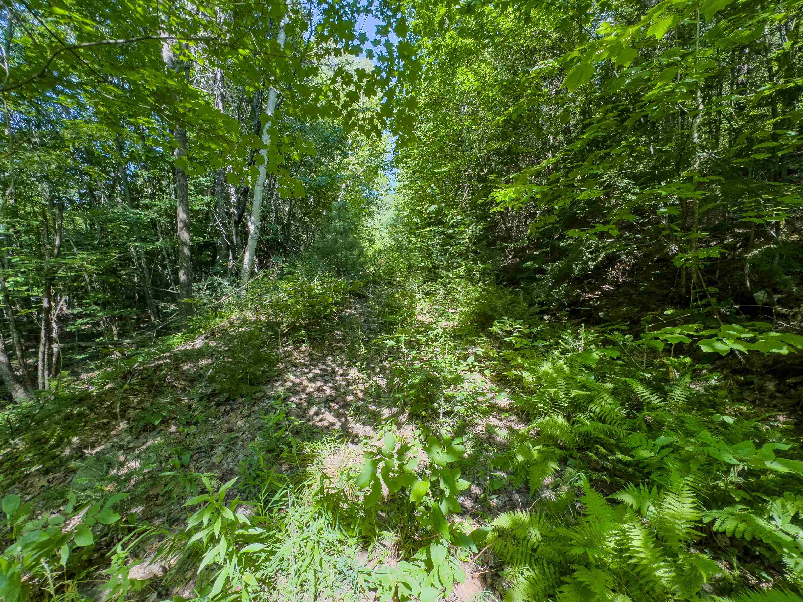 Homes for sale in Haverhill, NH | 00 Brushwood Rd, Haverhill, NH 03765 | MLS# 5056278