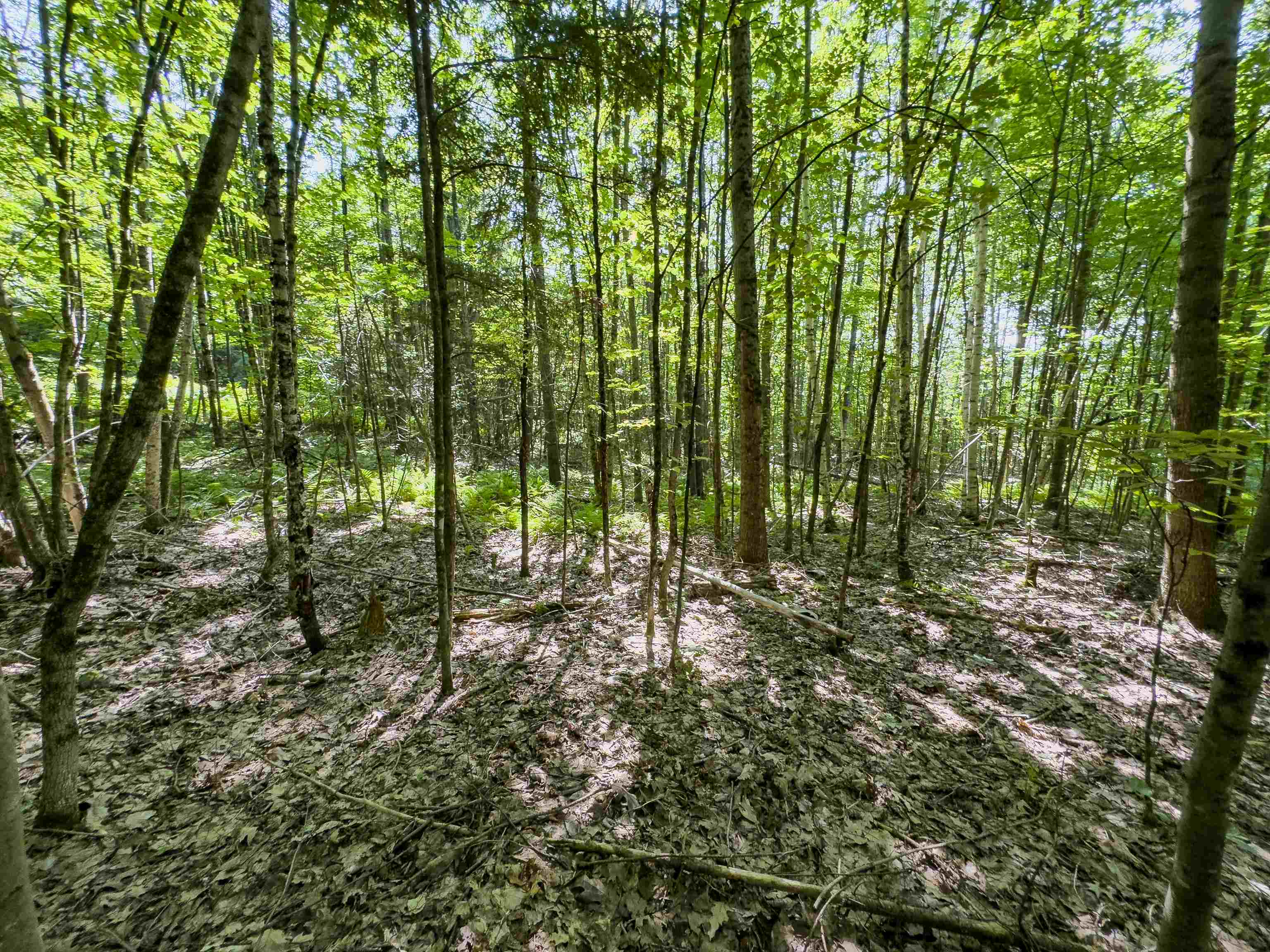 Homes for sale in Haverhill, NH | 00 Brushwood Rd, Haverhill, NH 03765 | MLS# 5056278