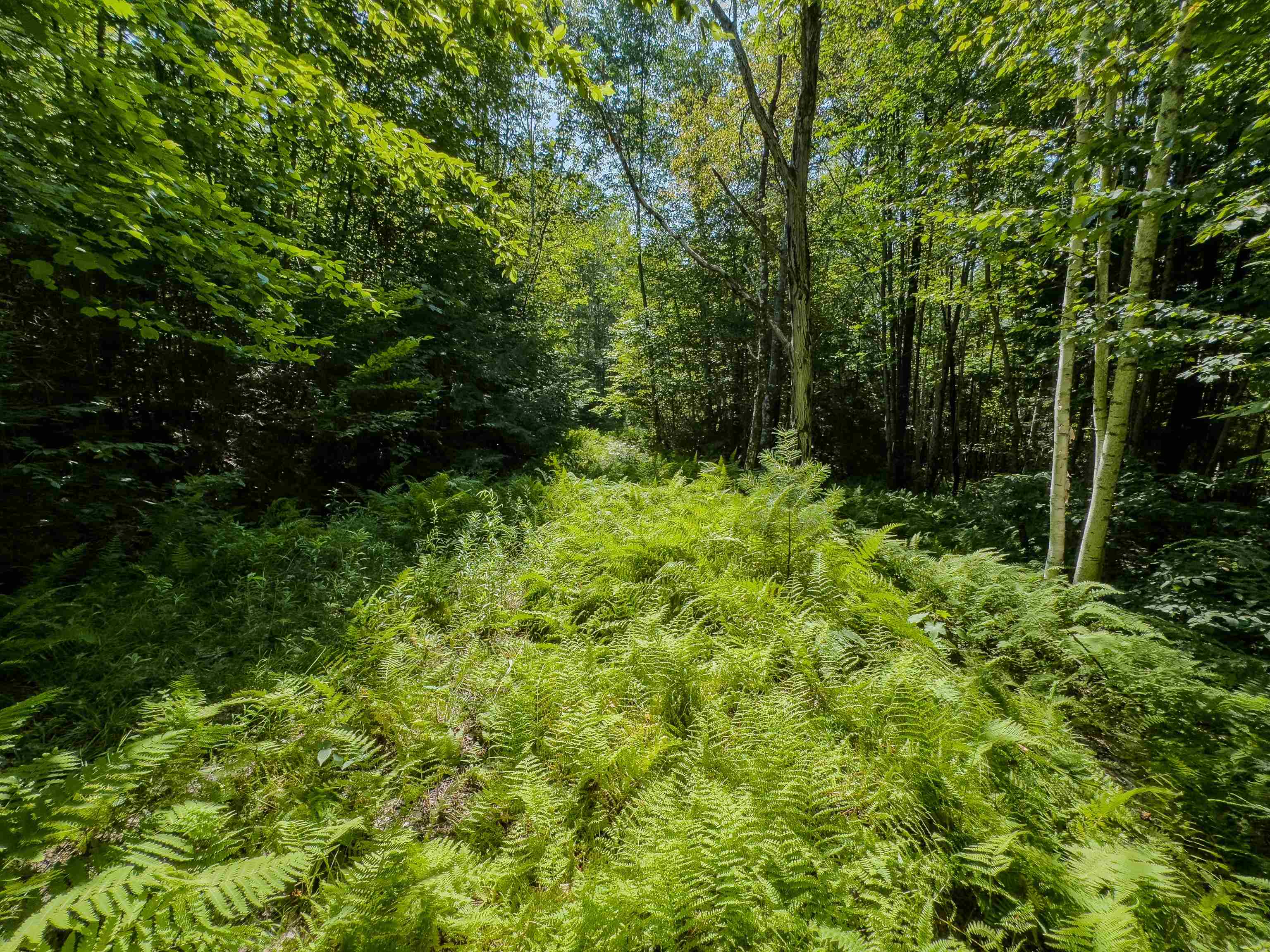 Homes for sale in Haverhill, NH | 00 Brushwood Rd, Haverhill, NH 03765 | MLS# 5056278