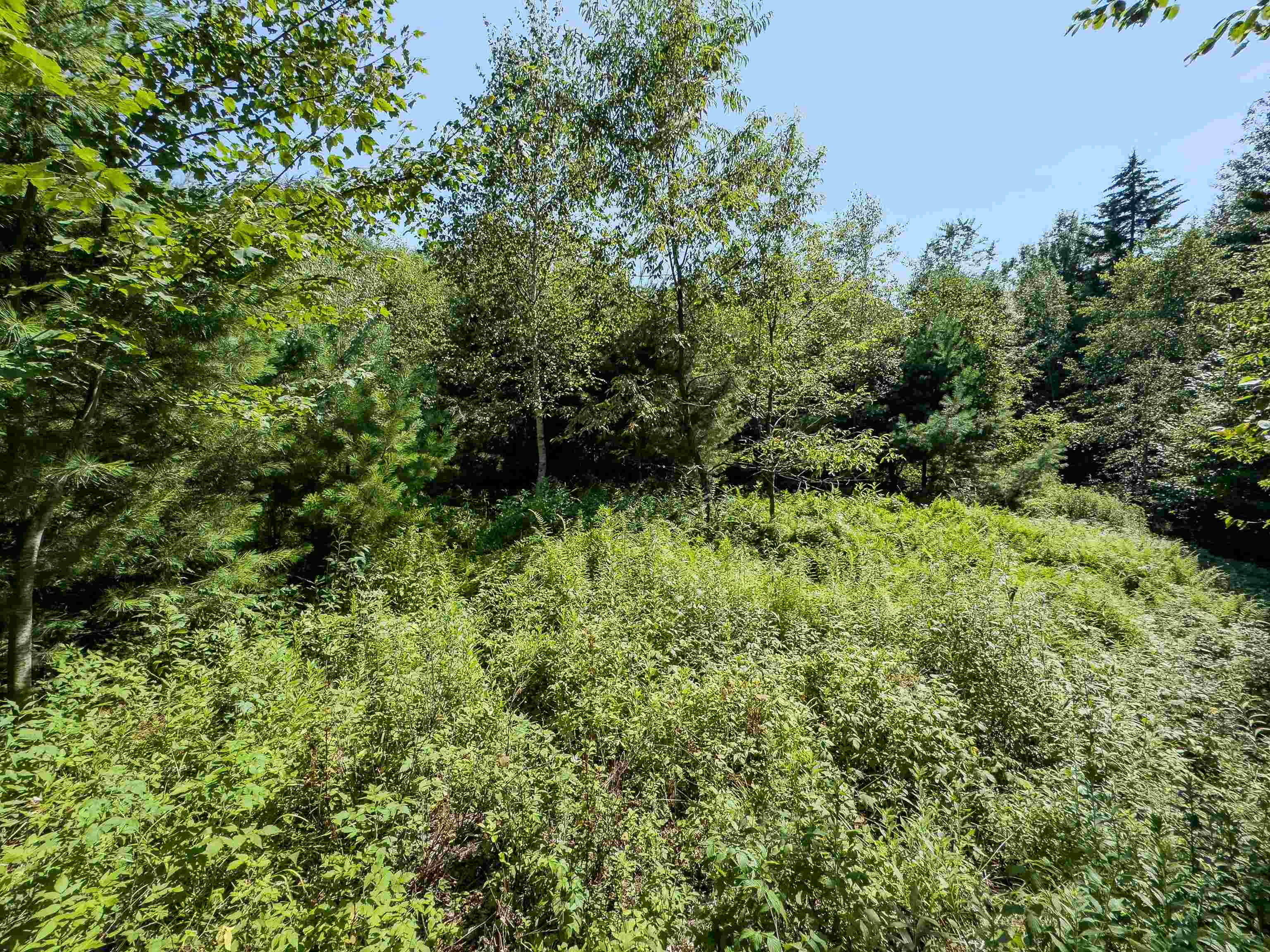 Homes for sale in Haverhill, NH | 00 Brushwood Rd, Haverhill, NH 03765 | MLS# 5056278