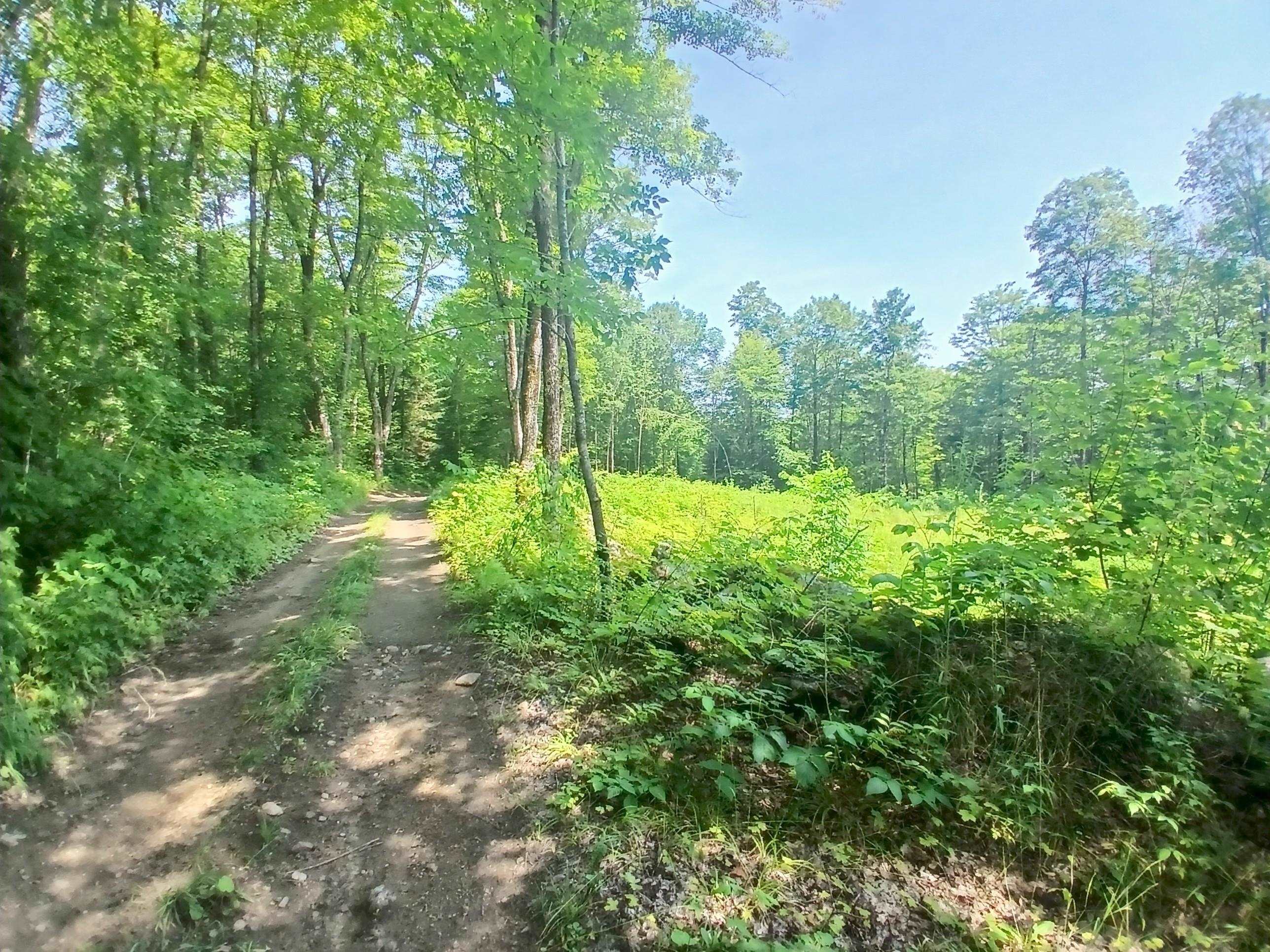 Topsham VT Land for sale $94,900 | 49.6 Acres  | Price Per Acre $0 