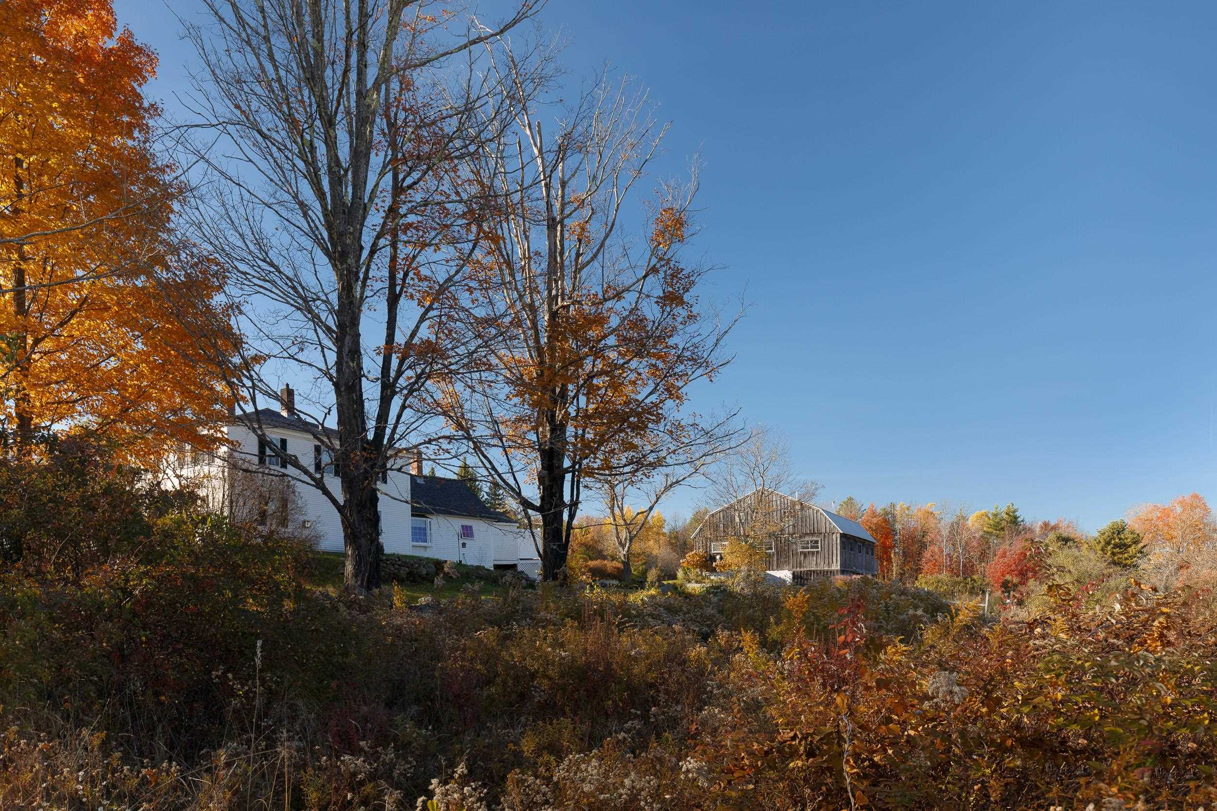 MLS #5056399 image #57