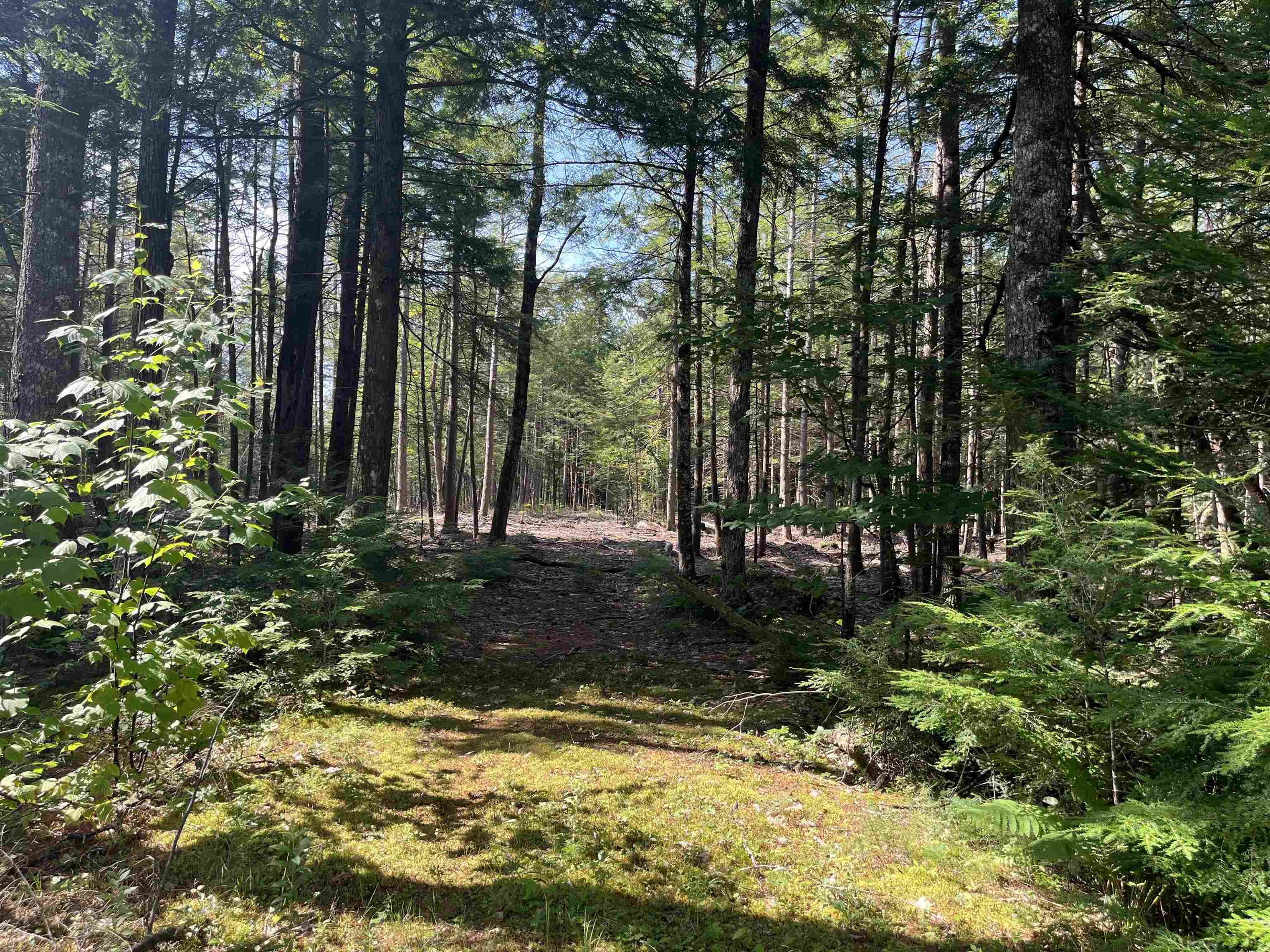 MLS #5056607 image #12