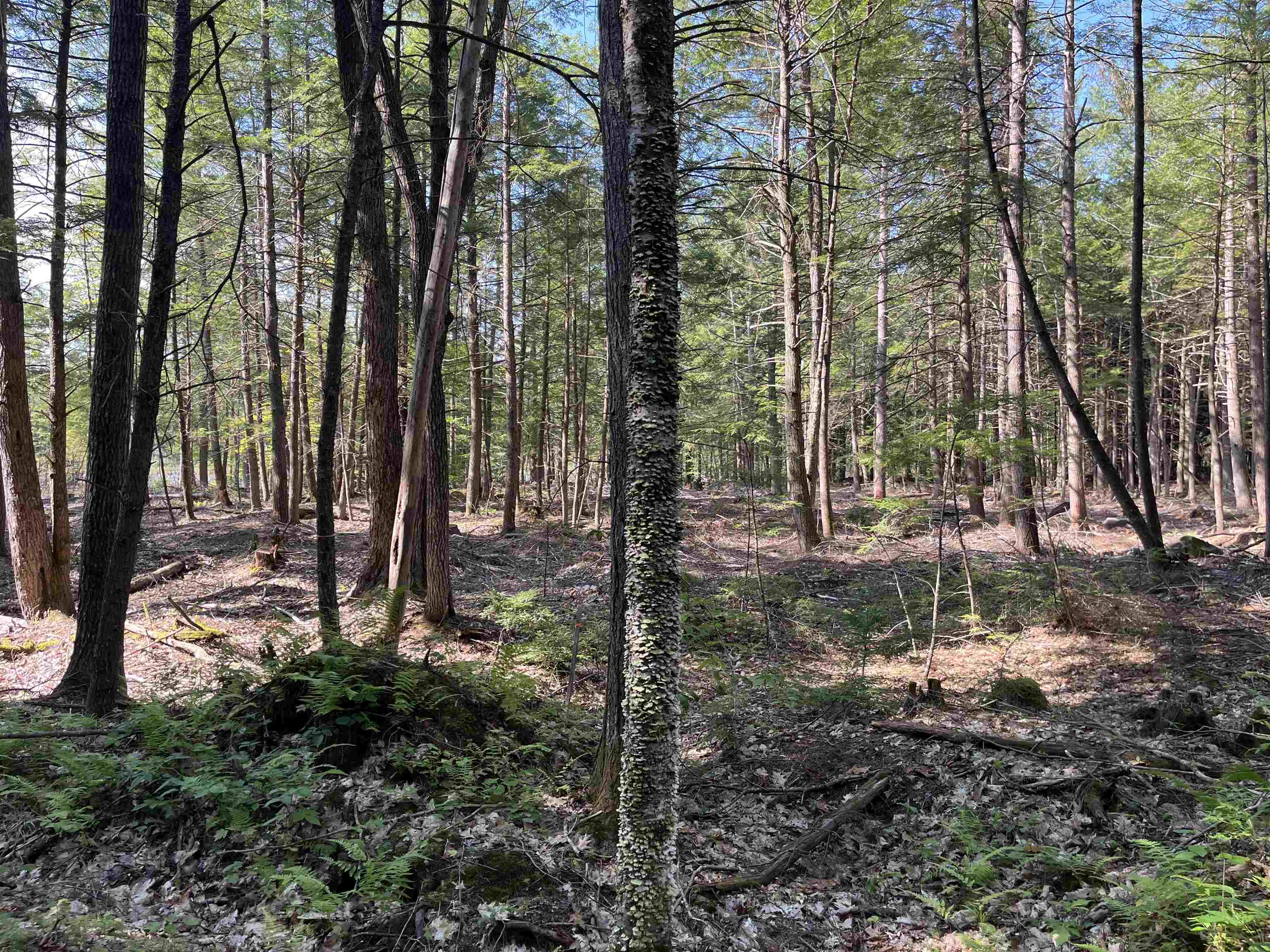 MLS #5056607 image #3