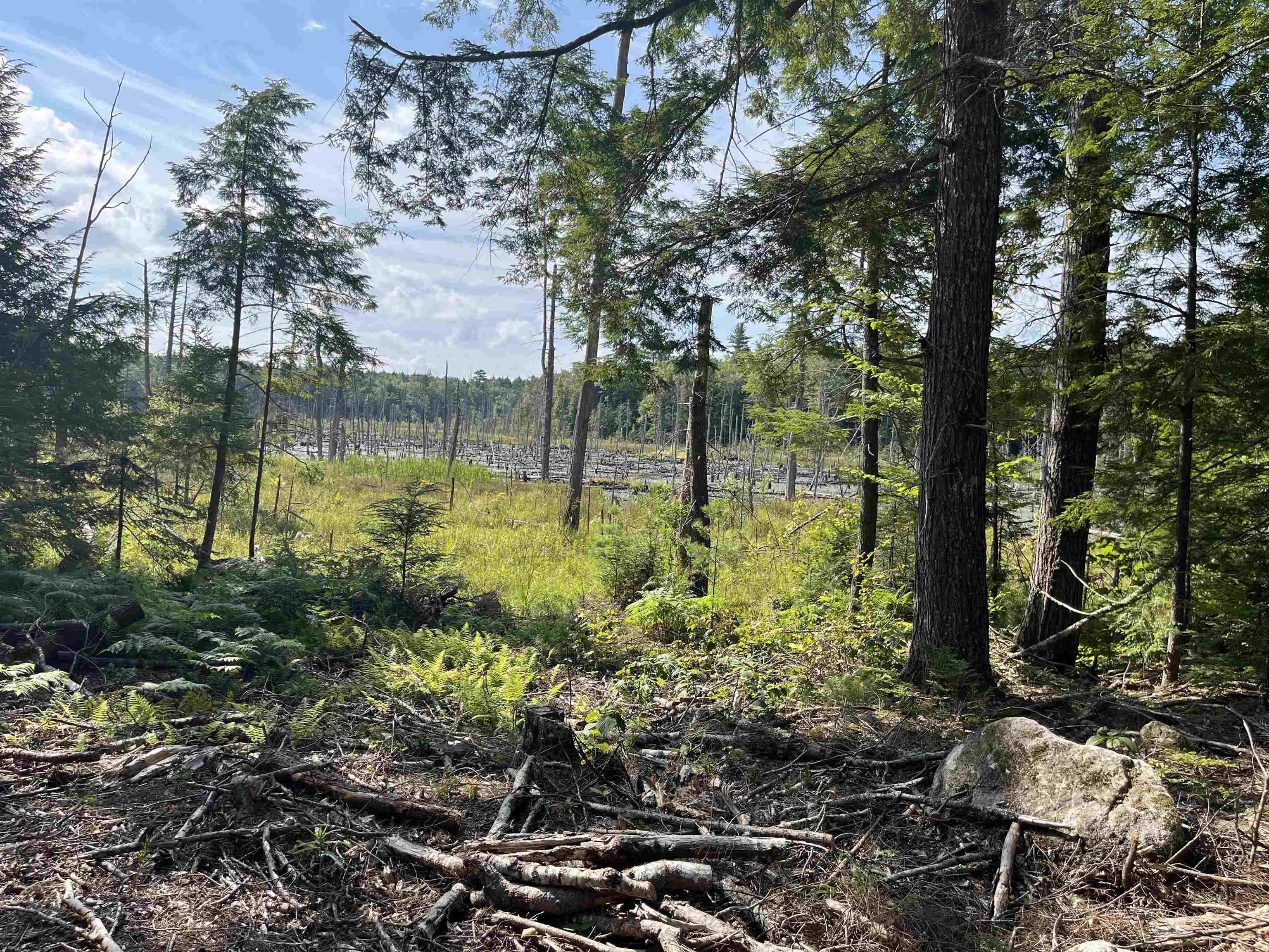 MLS #5056607 image #5