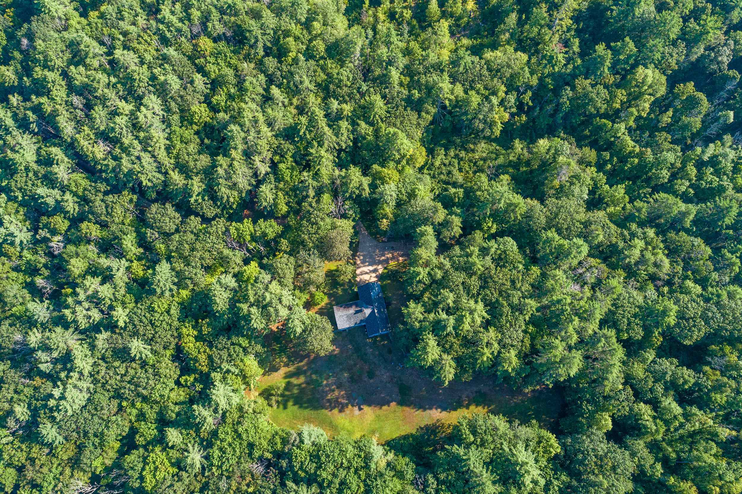 MLS #5056616 image #2