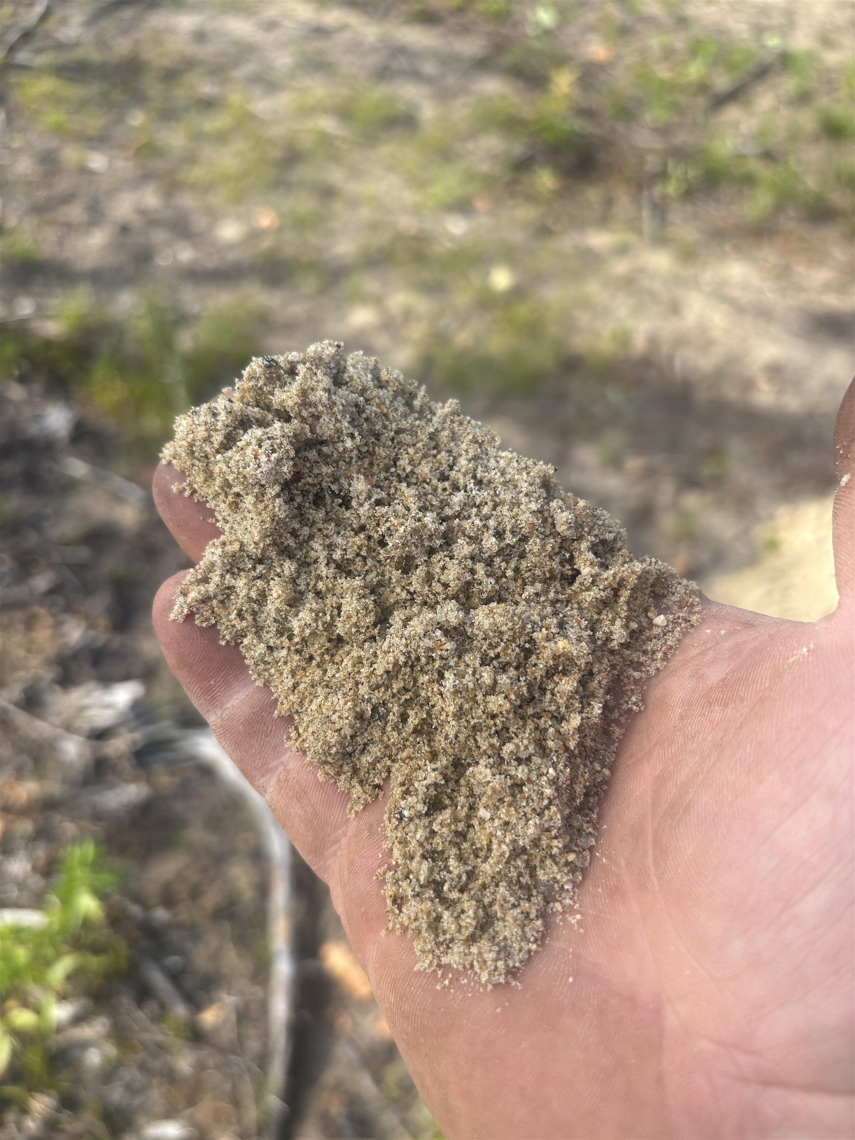 MLS #5056632 image #5