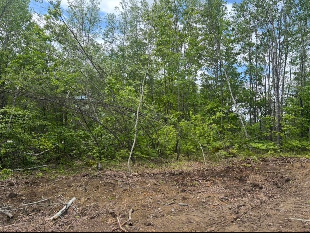 MLS #5056632 image #6