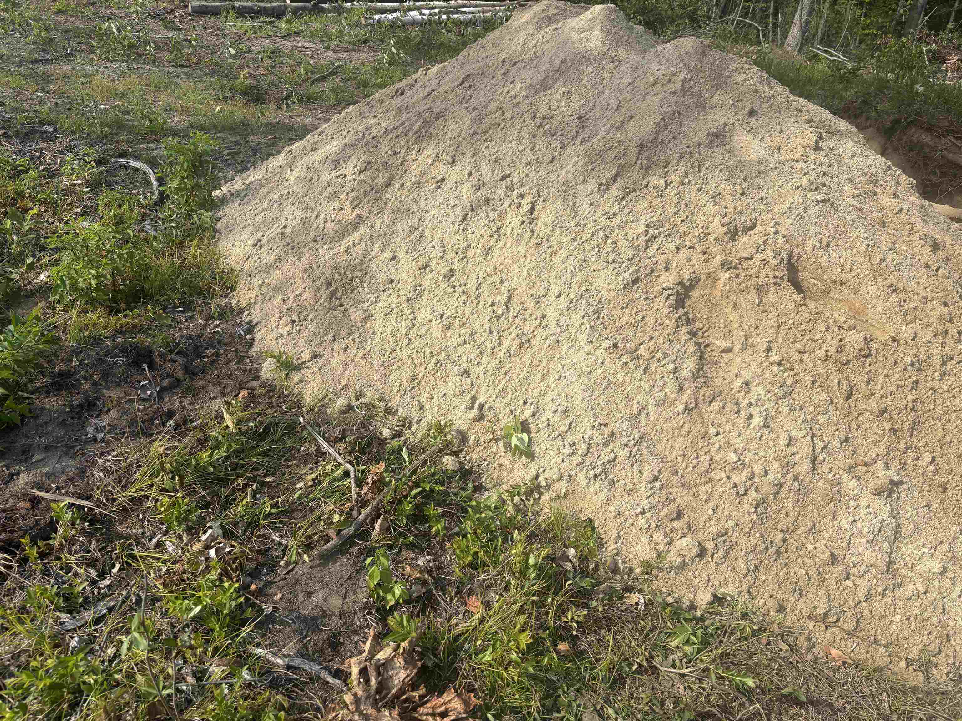 MLS #5056639 image #5