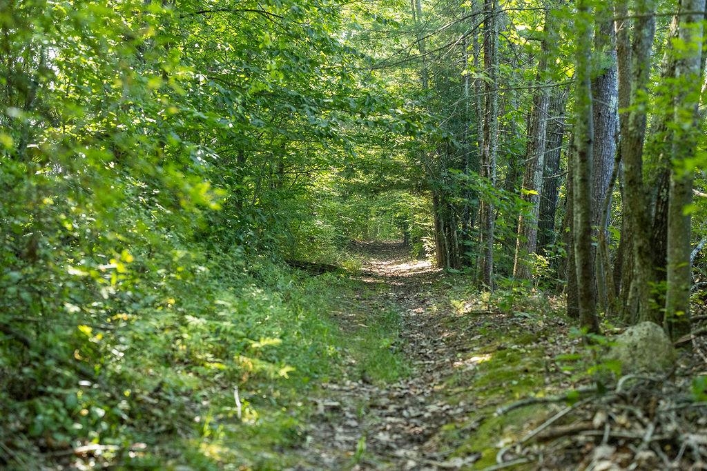 Homes for sale in Hopkinton, NH | George Rd, Hopkinton, NH 03229 | MLS# 5056739