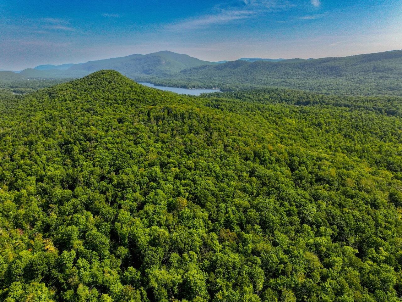 Homes for sale in Leicester, VT | Lots 4 9 Fern Lake Rd, Leicester, VT 05733 | MLS# 5056798