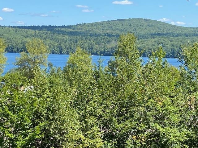 Lake Sunapee behind the trees