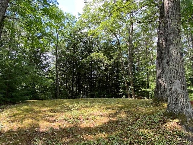 Yard towards Rt 103