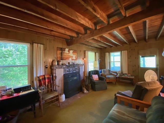 Living room newer windows