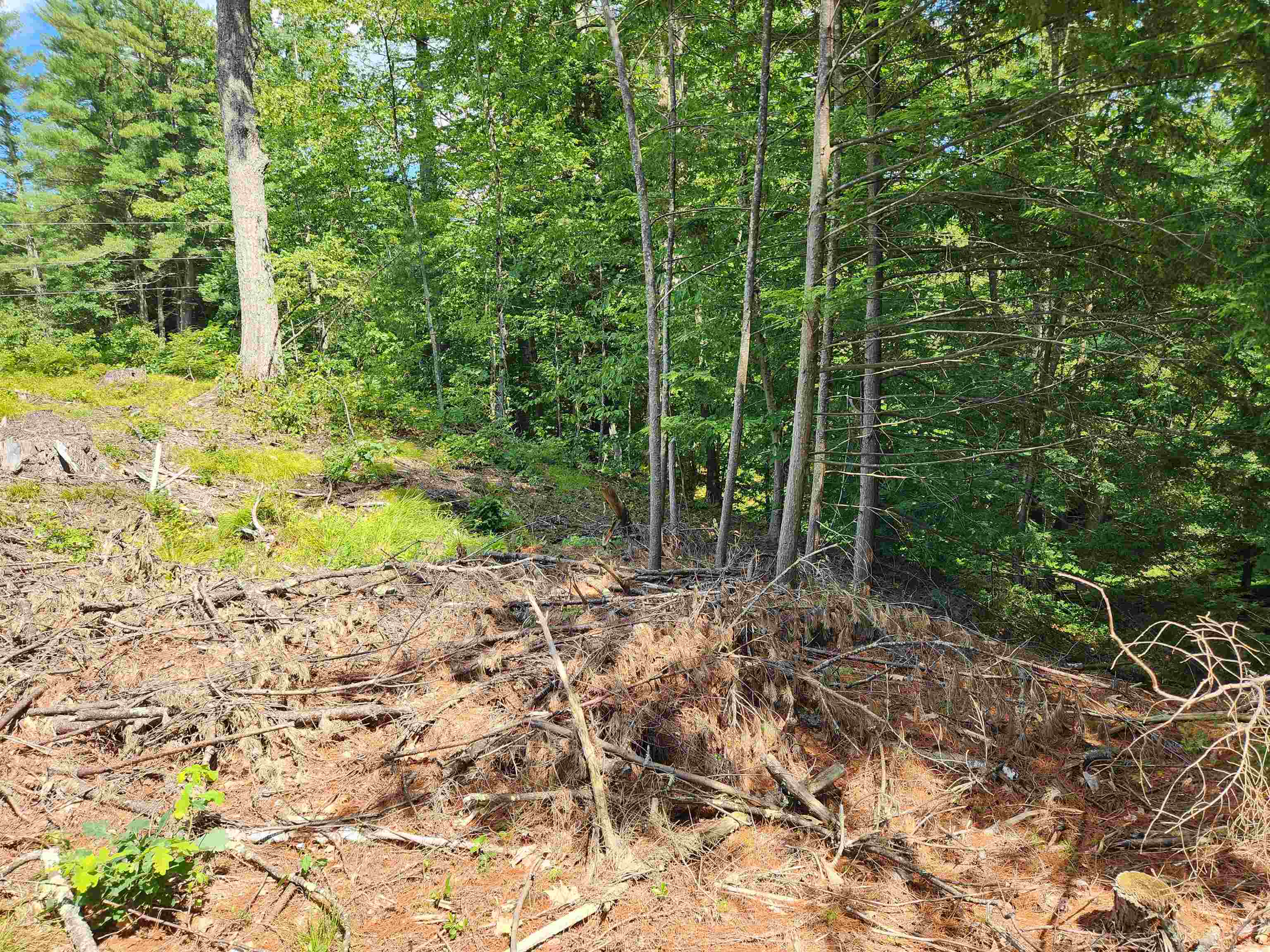 Homes for sale in Loudon, NH | 00 Wales Bridge Rd, Loudon, NH 03307 | MLS# 5056925