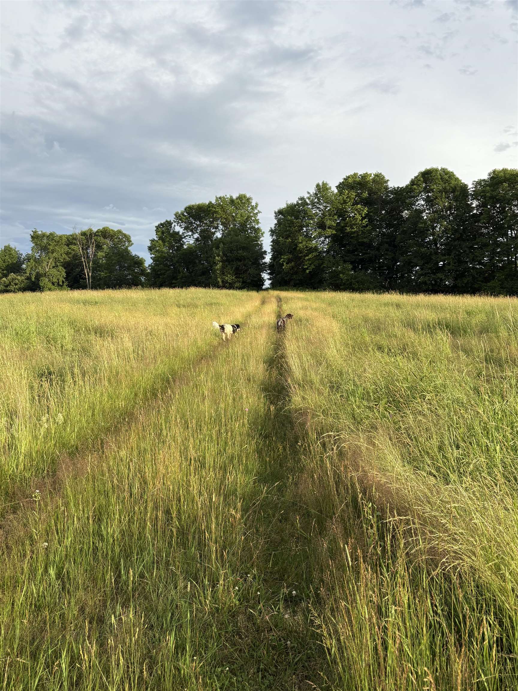 Homes for sale in Hyde Park, VT | 475 Webster Rd, Hyde Park, VT 05655 | MLS# 5056926